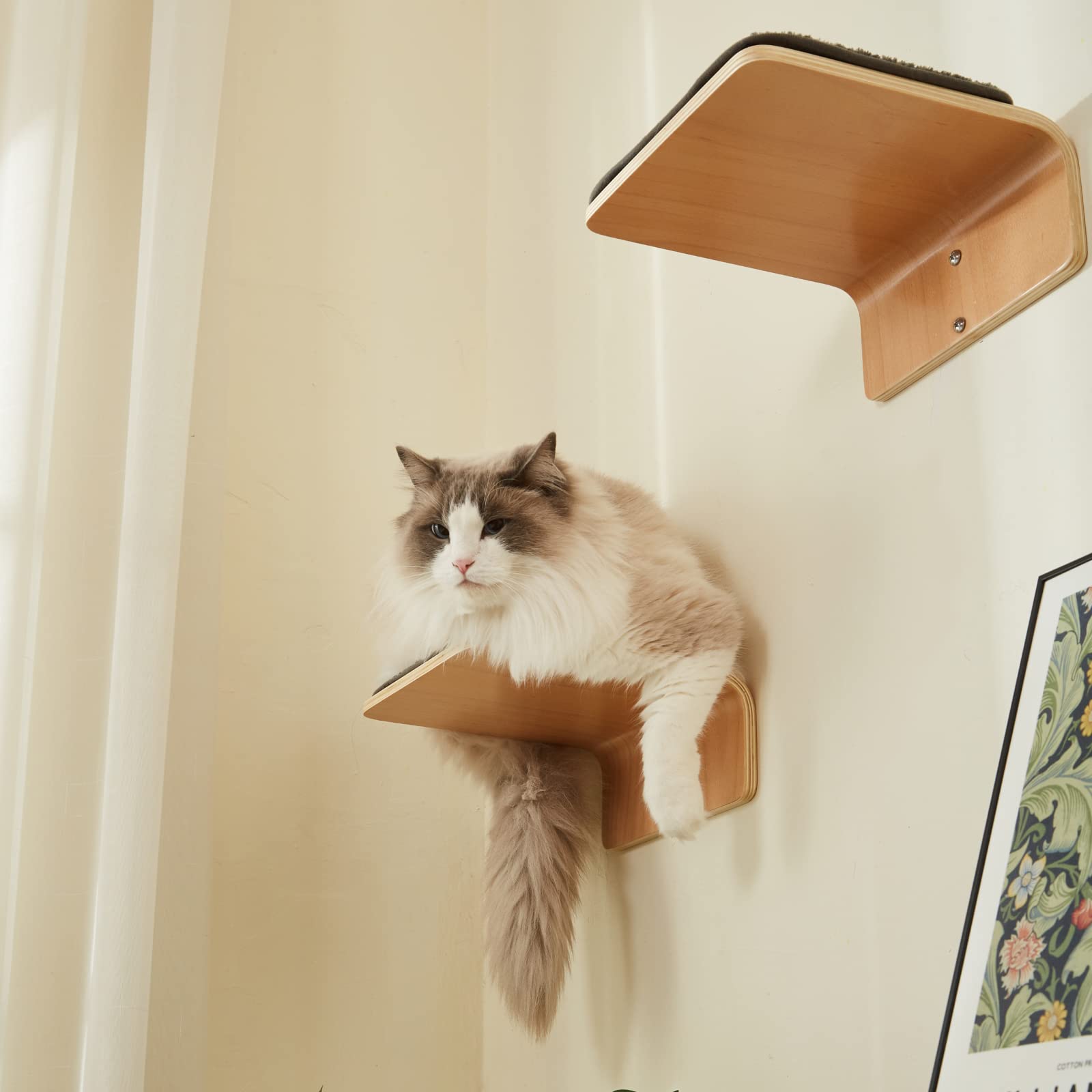 LIORCE Cat Wall Steps - Wooden Climbing Shelf with Scratching Mat - Cream & Gray, Wall-Mounted Cat Furniture for Jumping & Playing