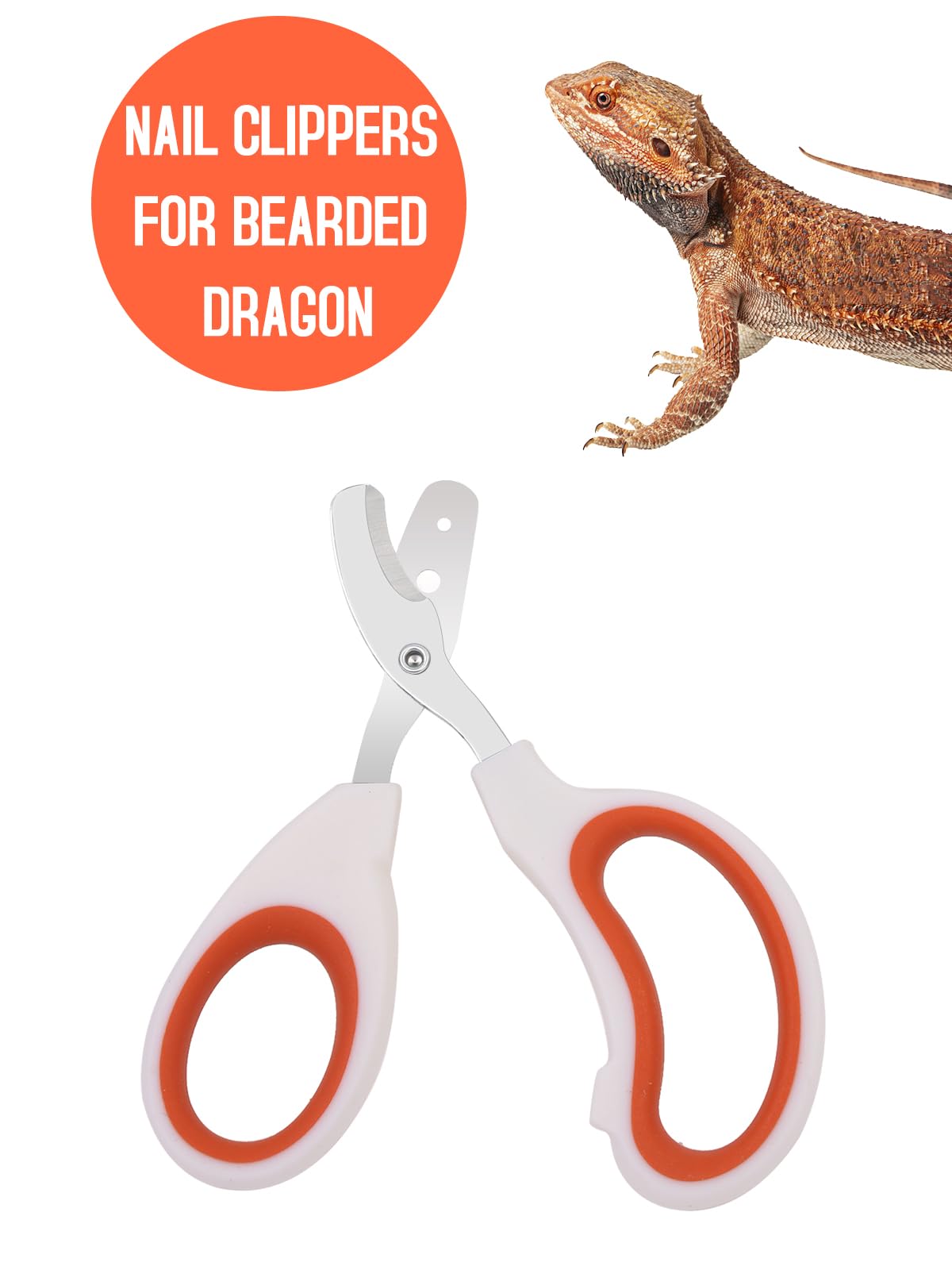 Stainless Steel Bearded Dragon Nail Clippers,Lizard Nail Clippers,Bearded Dragon Supplies,Bearded Dragon Nail Scissors for Small