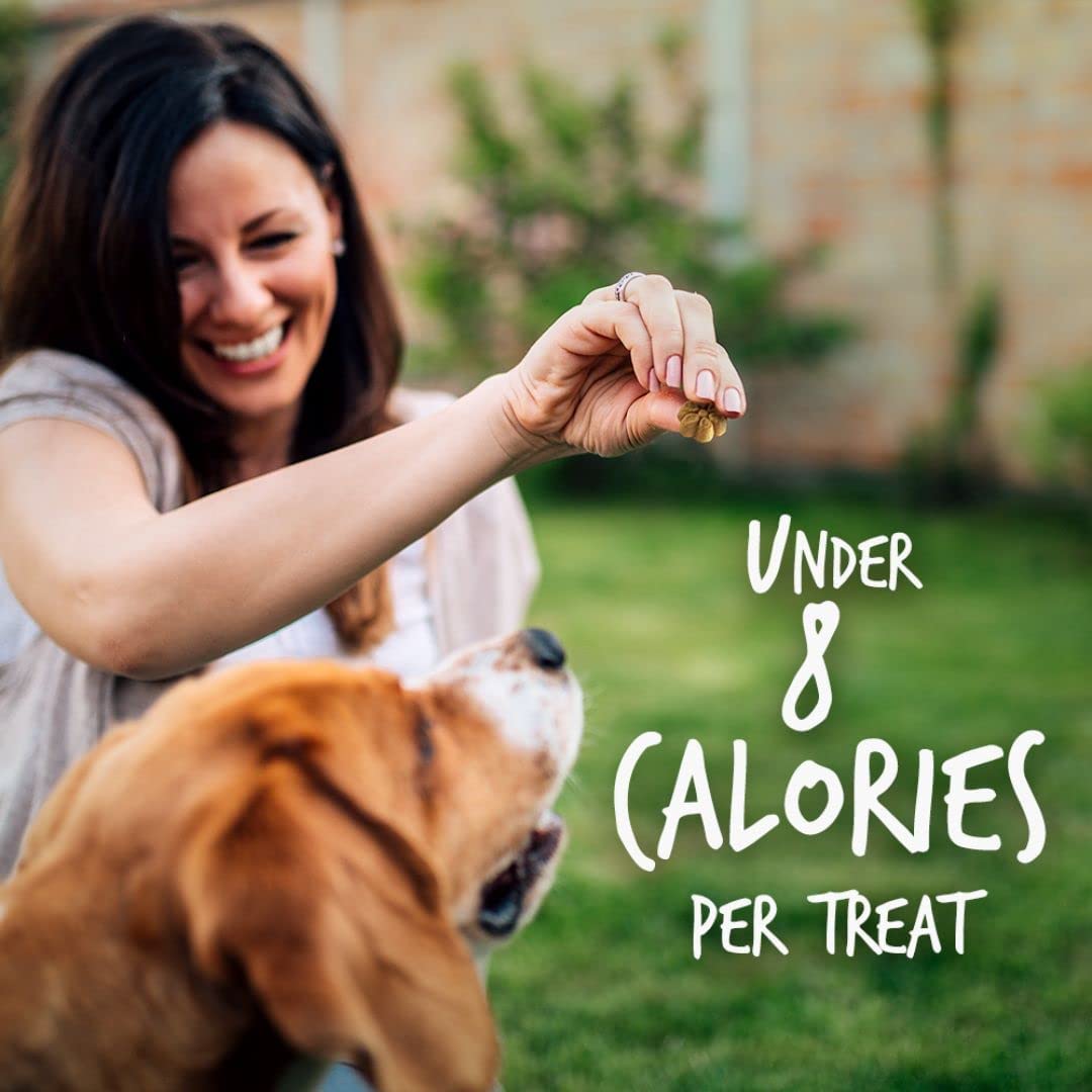 Fruitables Baked Dog Treats - Pumpkin Treats for Dogs - Healthy Low Calorie Treats - Free of Wheat, Corn and Soy - Pumpkin and C