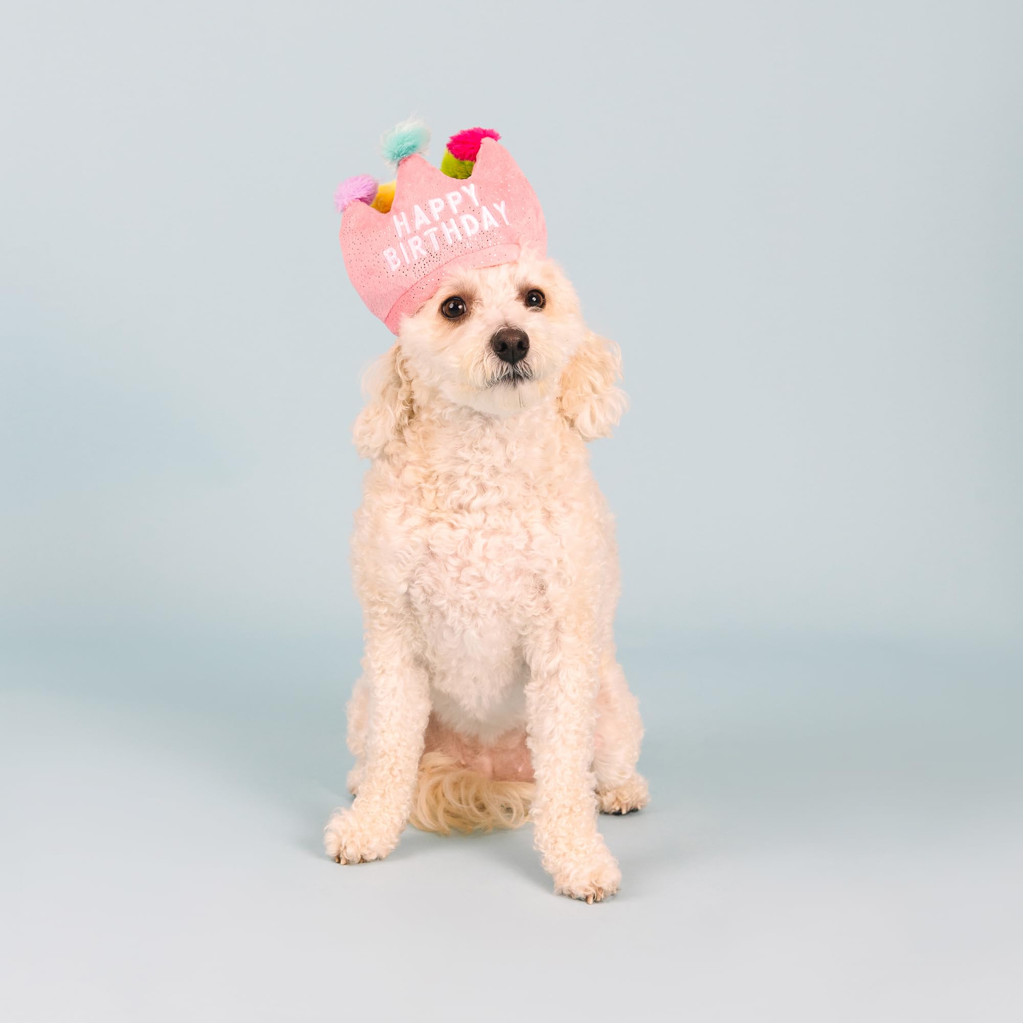 Fringe Studio Plush Dog Toy, If The Crown Fits, Pet Shop Collection (314209)