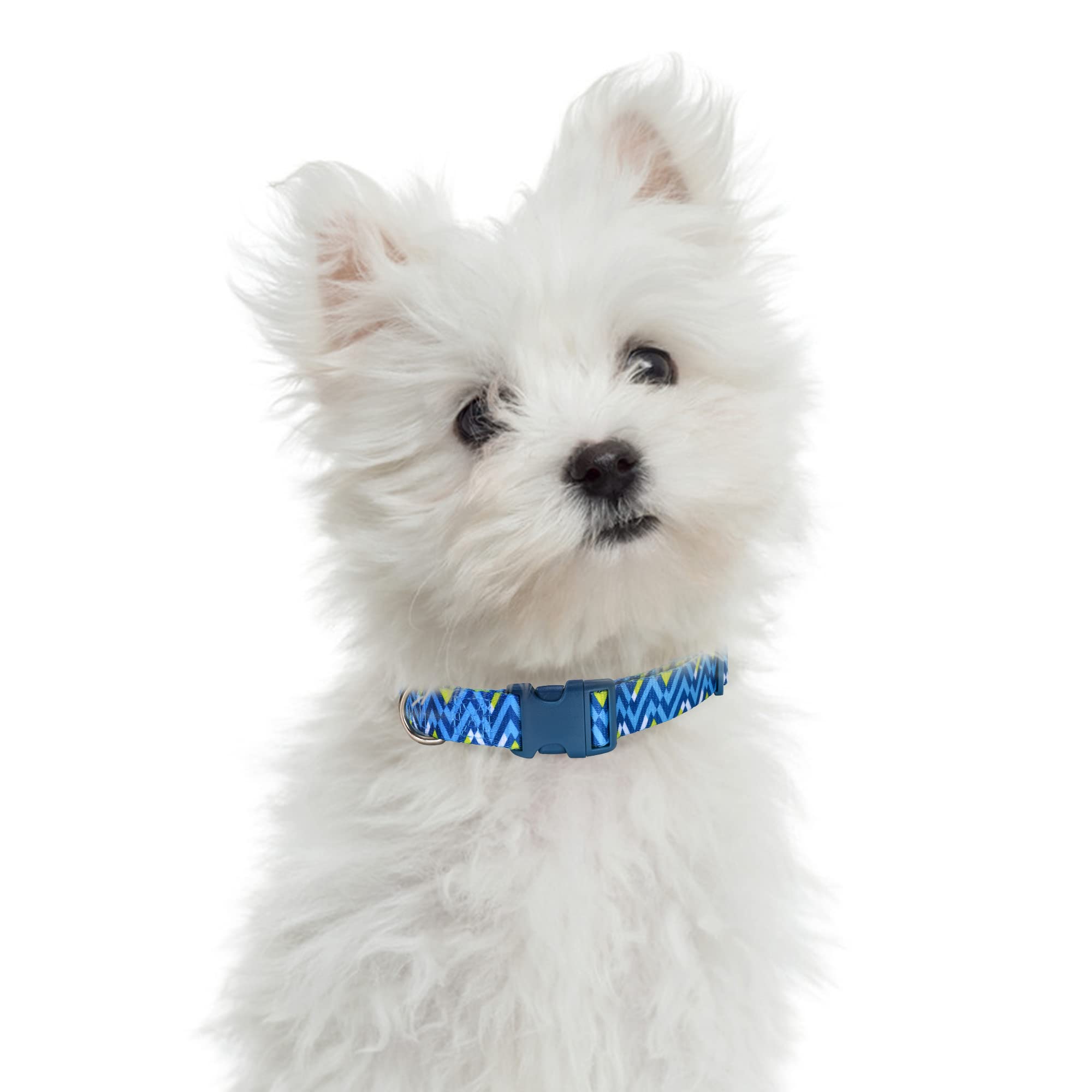 Mile High Life | Geometric Ocean Wavy Pattern | Soft Poly Cotton Fabric | Black Buckle Dog Collar With D Ring| We Donate To Dog Rescues(Light Blue/Hot Blue, Small )