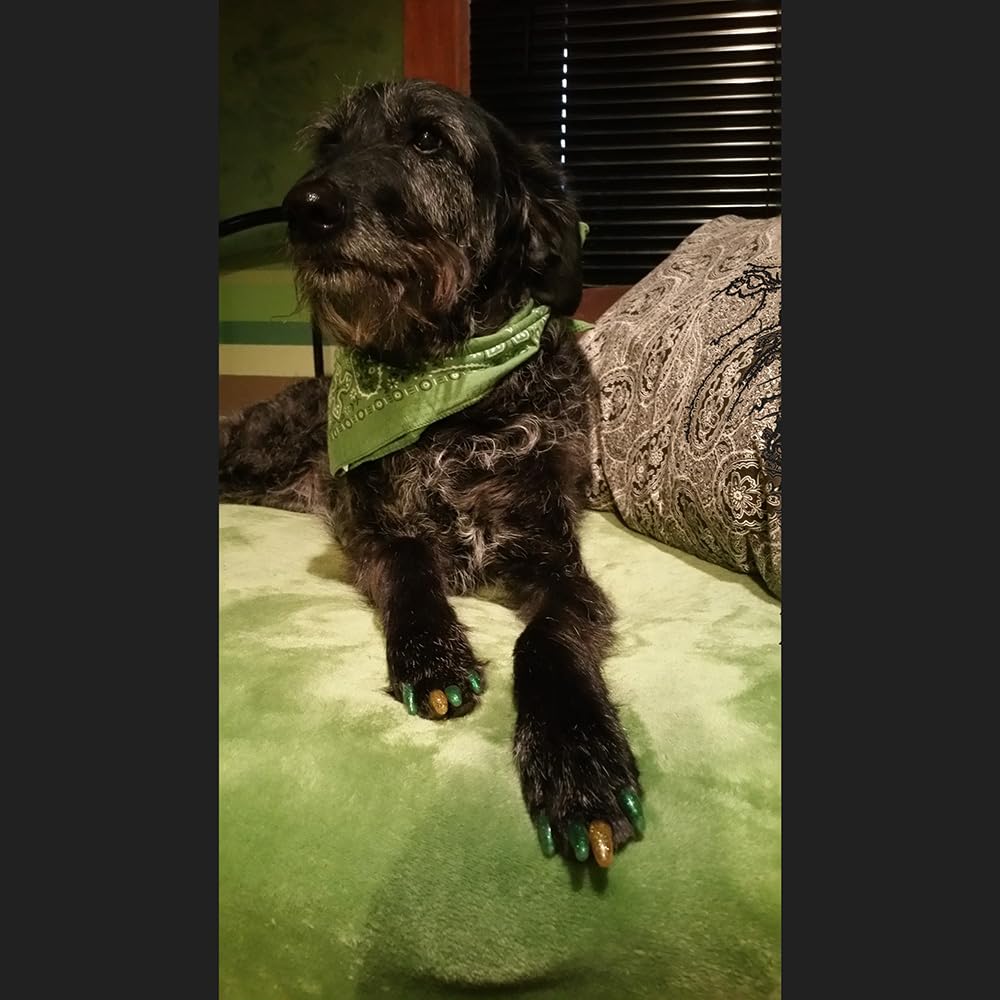 Purrdy Paws Soft Nail Caps 60 Packs For Dogs - Silver Holographic Glitter Jumbo