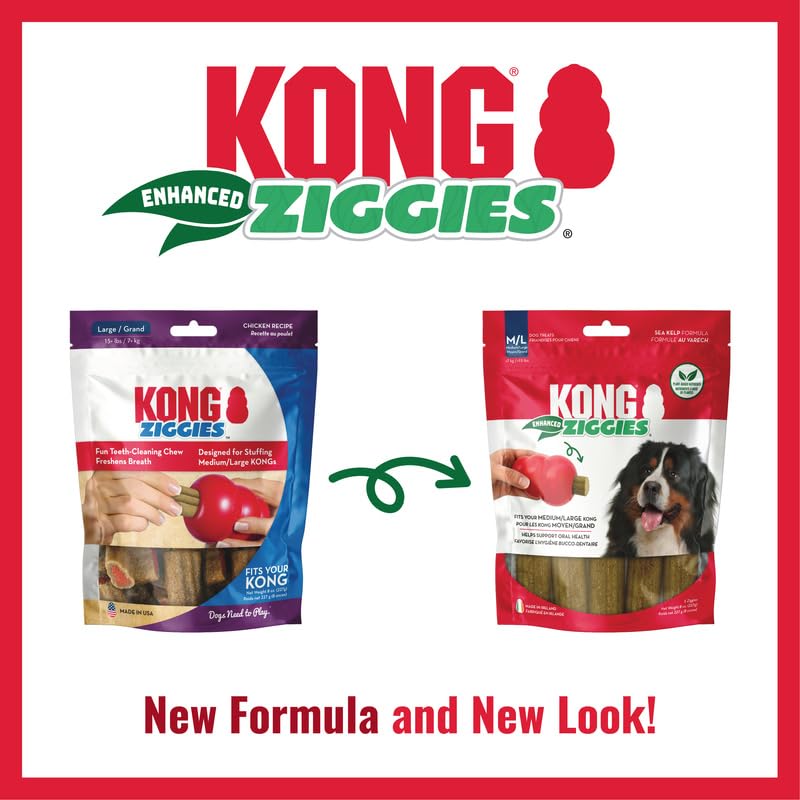 Kong Enhanced Ziggies Large Dog Treat, 8-Ounce (Pack of 3)