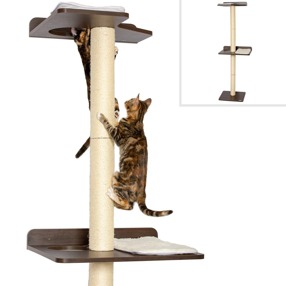 Petfusion Ultimate Cat Climbing Tower & Activity Tree. (24 X 20.8 X 76.8 Inches (Lwh) Tall Sisal Scratching Posts, Modern Wall M