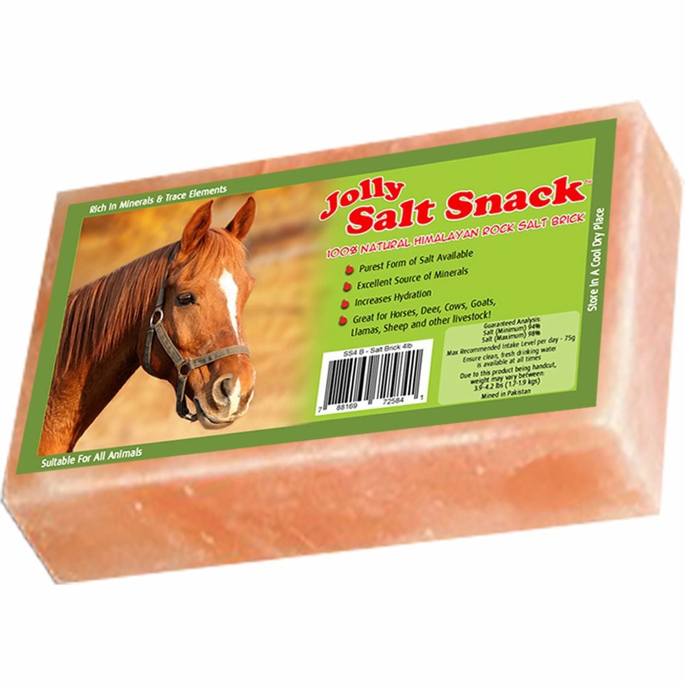 Horsemens Pride 100% Himalayan Salt Brick, 4 Pounds