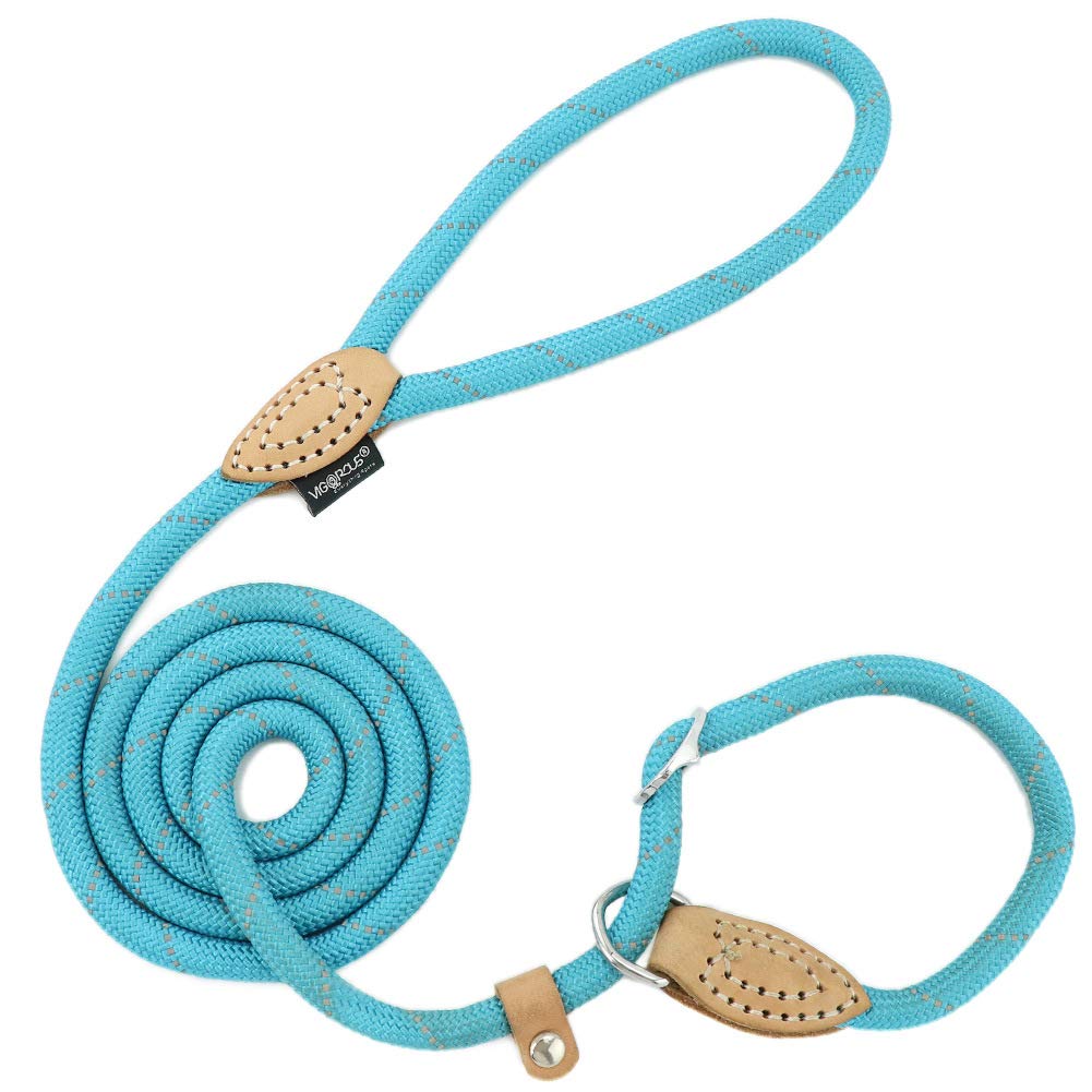 Grand Line Slip Lead Dog Leash, 5Ft Reflective Slip Rope, Puppy Training Walking Controlling Lead, Slip Collar Pet Leash For Small, Medium, Large Dogs (Blue, Large-3/5In X 5Ft)