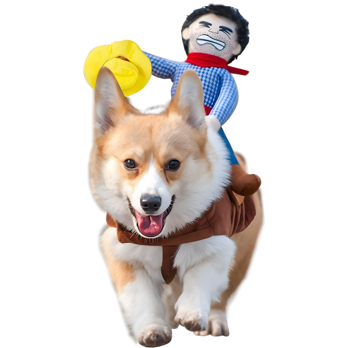 DELIFUR Dog Halloween Costume Funny Dog Cowboy Riding Costume Pet Costume Cat Suit Cowboy Rider Style for Small Medium Large Dog
