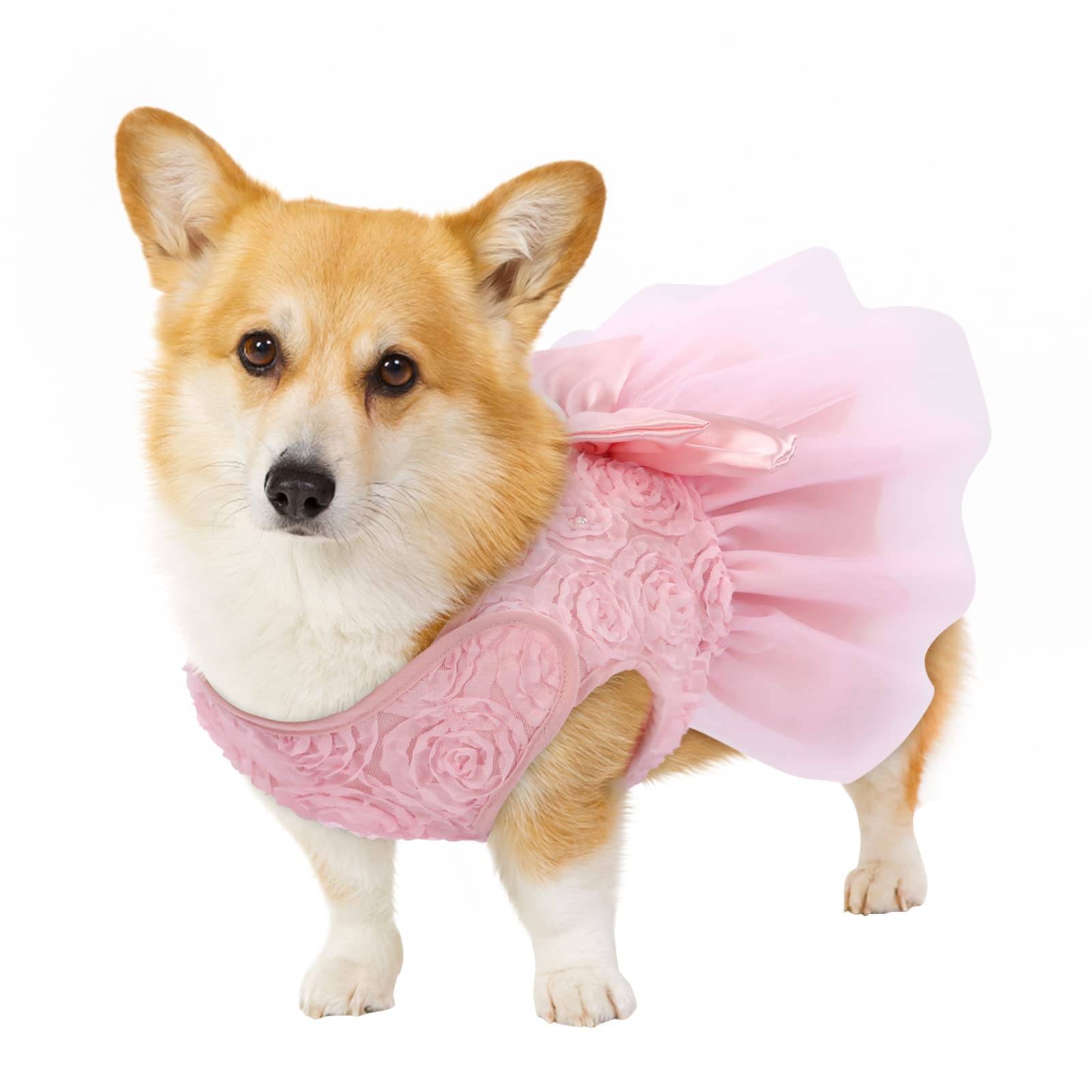Asenku Dog Dress Pet Wedding Dress Princess Lace Puppy Birthday Party Outfit Formal Apparel Girl For Small Medium Dogs Cats (Xx-