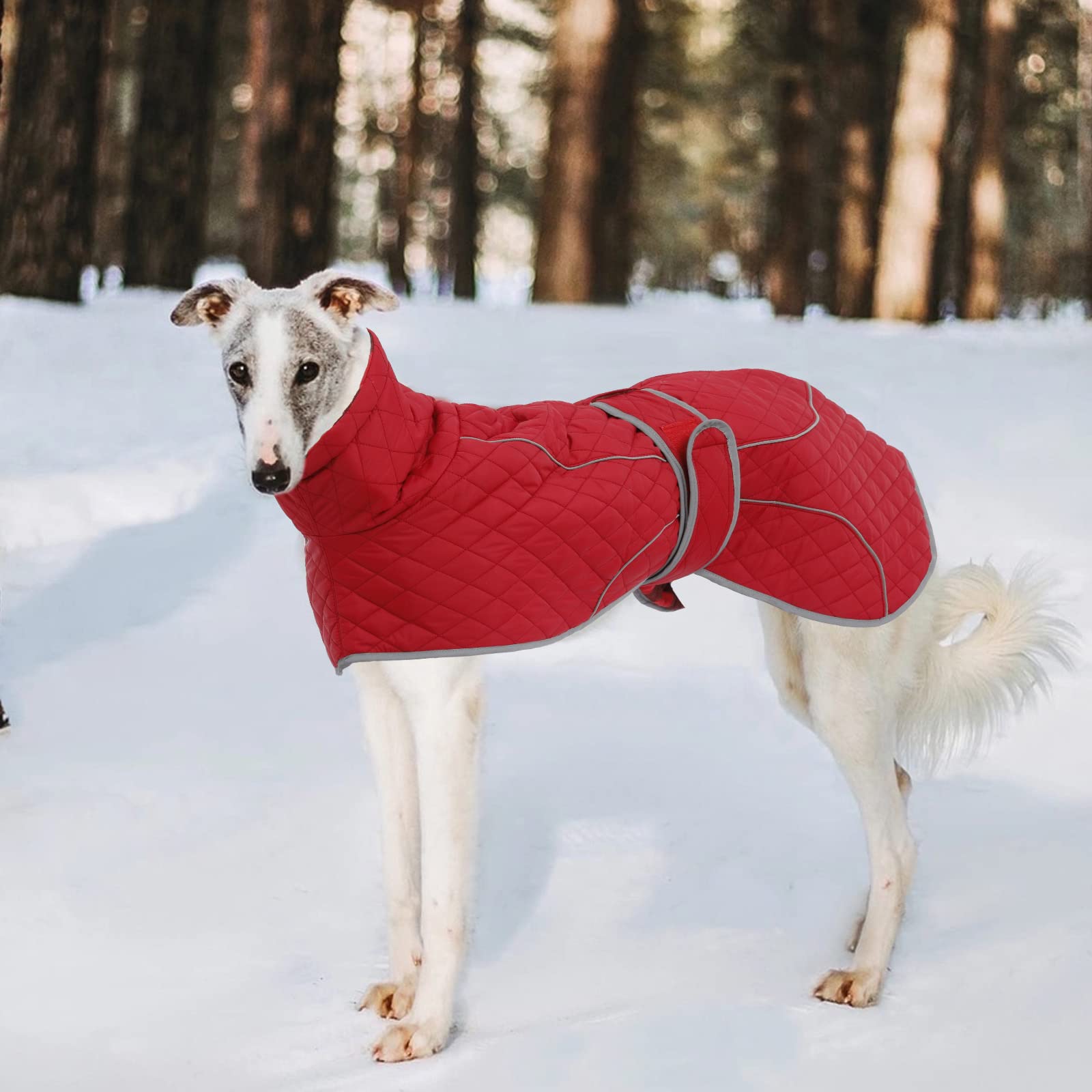 Greyhound Winter Coat, Whippet Coat With Padded Fleece Lining, Water Resistant Dog Jacket With Hook And Loop Closure And Reflective Trim Safety - Red - Medium
