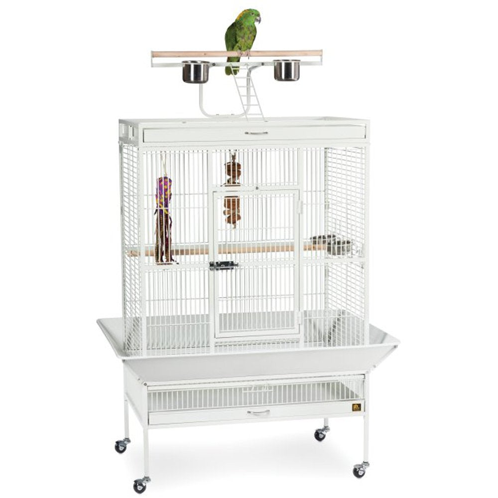 Prevue Hendryx Select Wrought Iron Play Top Parrot Cage - Chalk White