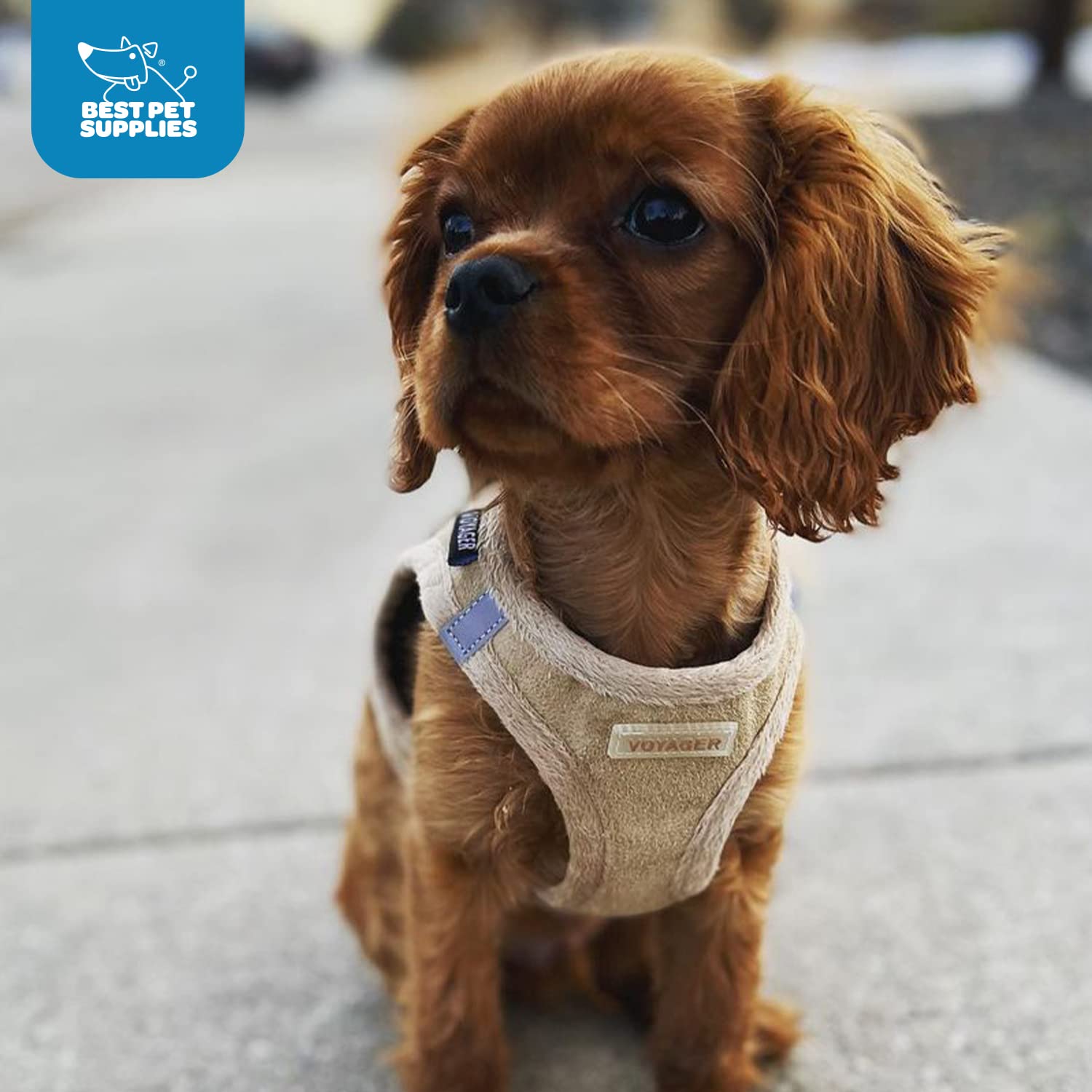 Voyager Step-In Plush Dog Harness - Soft Plush, Step In Vest Harness For Small And Medium Dogs By Best Pet Supplies - Latte Suede, M (Chest: 16-18')