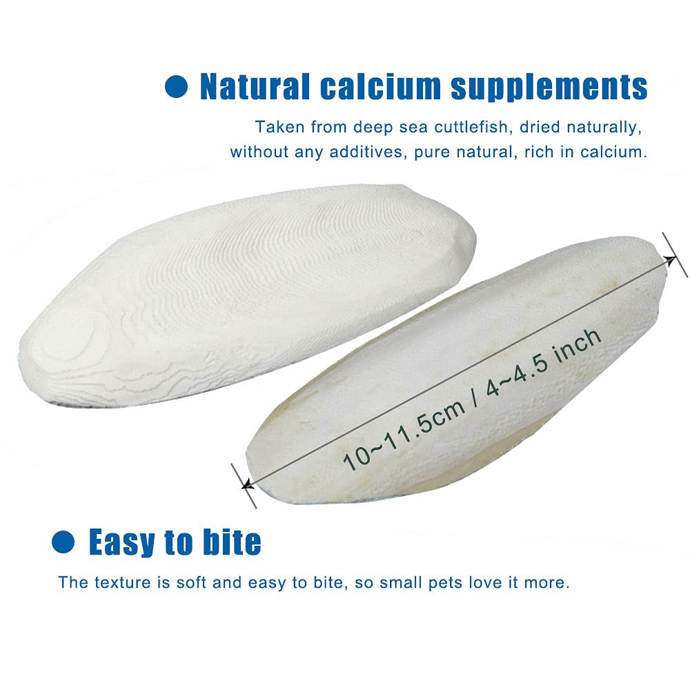 Mivofun 2Pcs Natural Cuttlebone For Tortoise Turtles Snails Birds Cockatiels Parakeets Budgies Reptiles Small Animals(4''-4.5'',