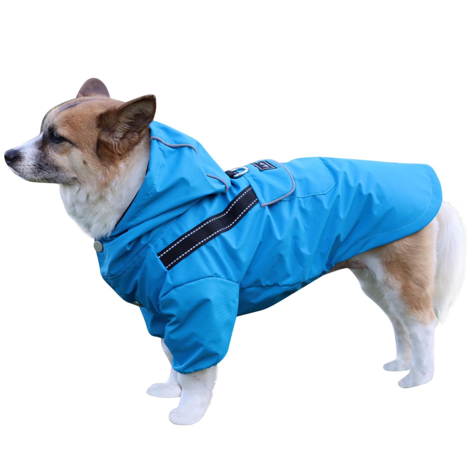 Joydaog Premium Dog Raincoat With Hood For Medium Dogs,Outdoor Sports Waterproof Dog Rain Jacket,Puppy Raincoat With Pockets,Yel