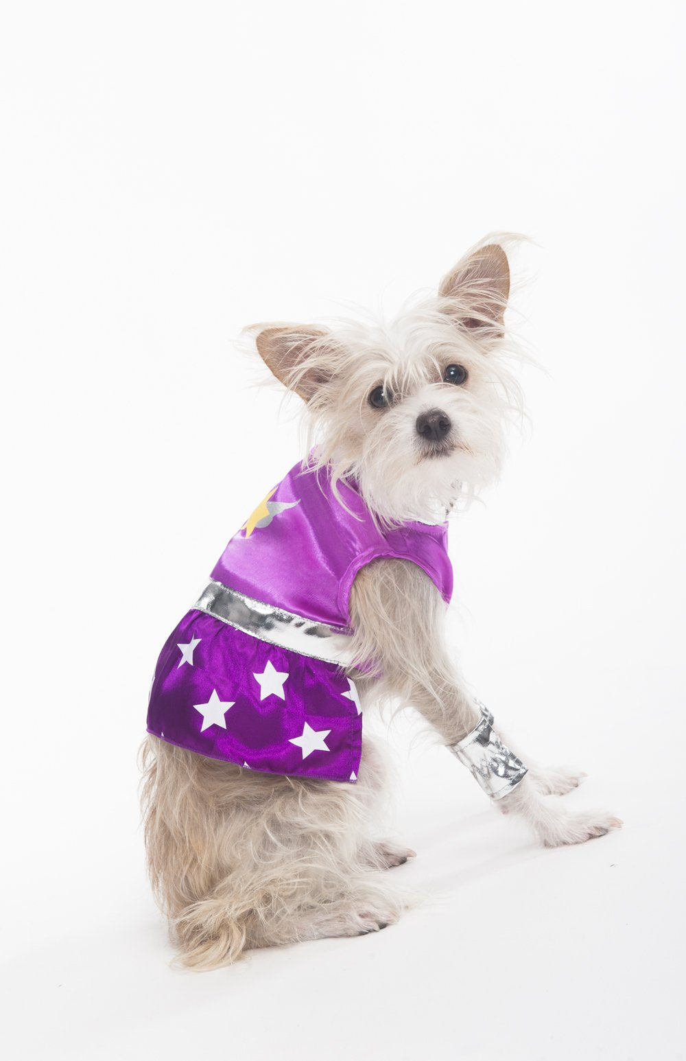 Fashion Pet Halloween Superdog Girl Costume for Dogs, Medium