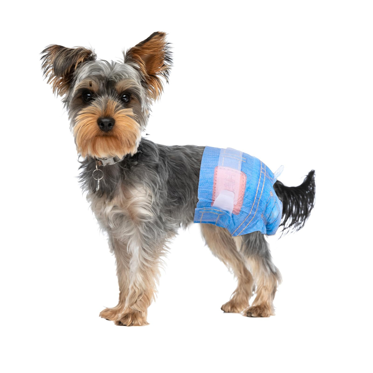 Pet Soft Dog Diapers Female, Disposable Dog Diapers, Cat Diapers For Female Cats, Puppy Diapers 16Pcs Xsmall