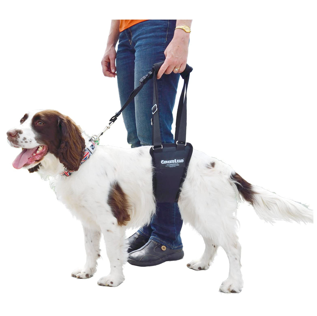 Gingerlead Dog Sling Hip Support Harness, Sm Male Fits Small To Medium Size Pets 20-65 Lbs. (Male Dachshunds Use X-Small Size) O