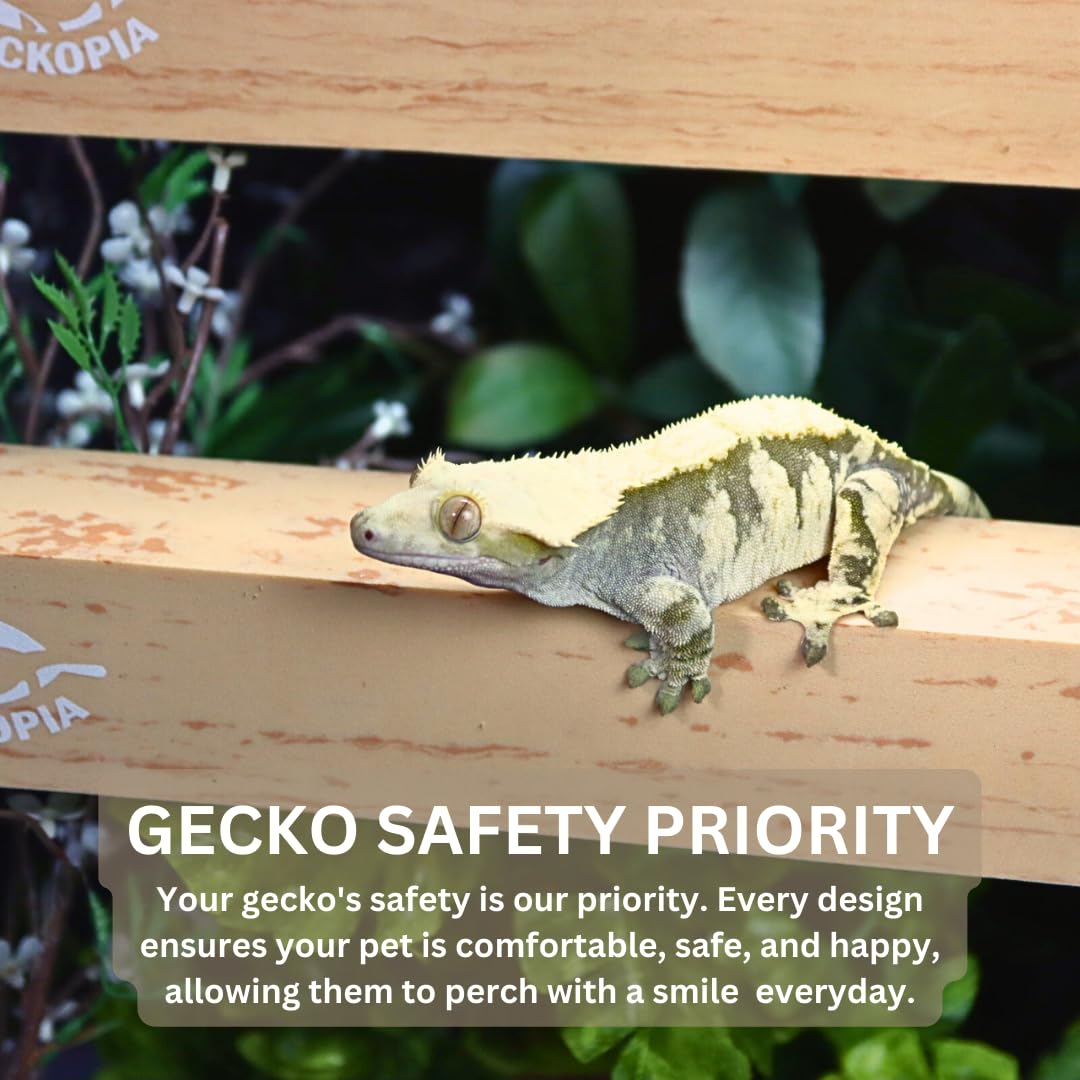 Geckopia Reptile Flex Bridge Reptile Bridge  Gecko Bridge  Gecko Ledge  Reptile Vine  Reptile Terrarium Decoration  Reptile Bran