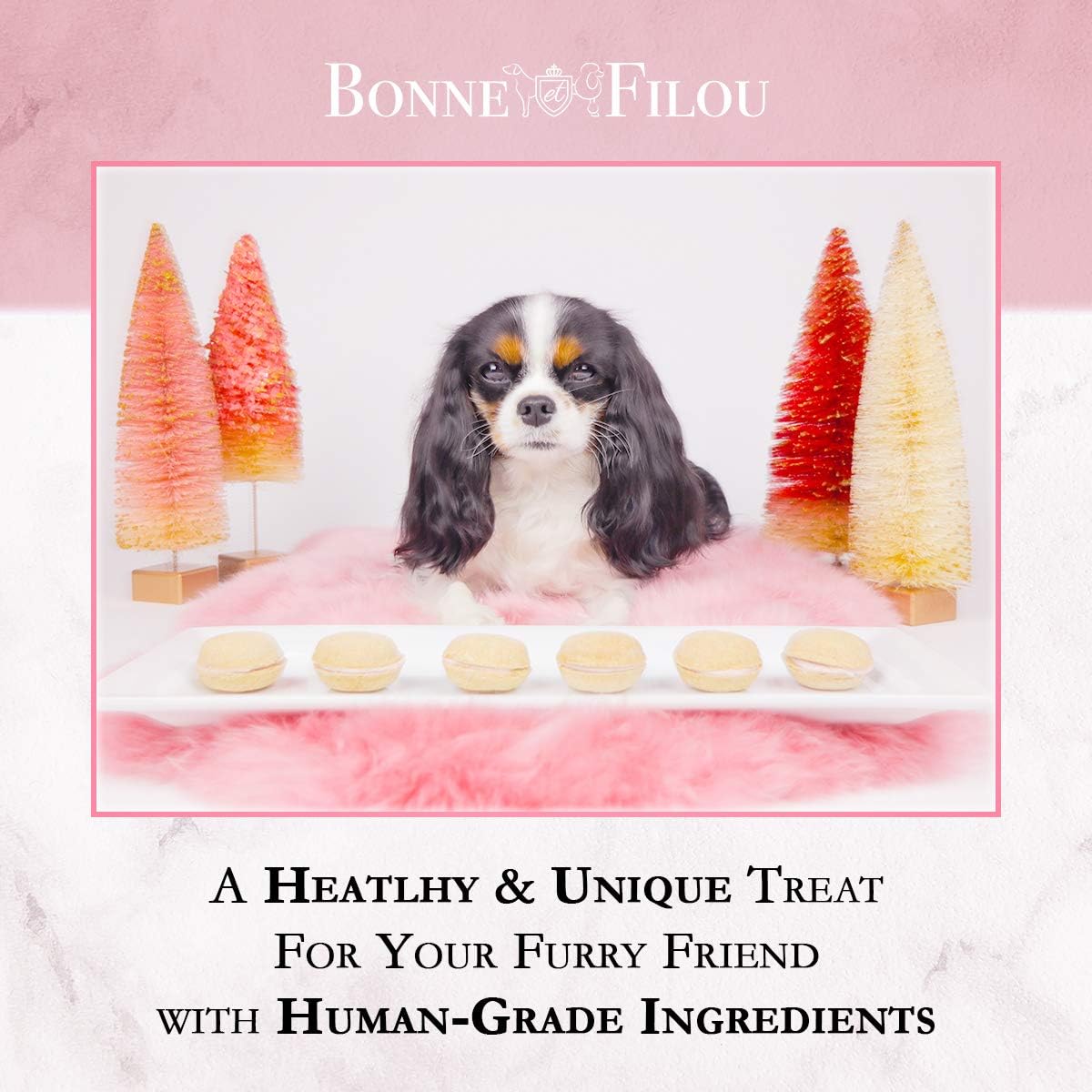 Bonne et Filou Dog Treats Strawberry Cupcakes, Dog Birthday Gift for Medium to Large Breed - Gourmet Macaron Cakes, Healthy & De