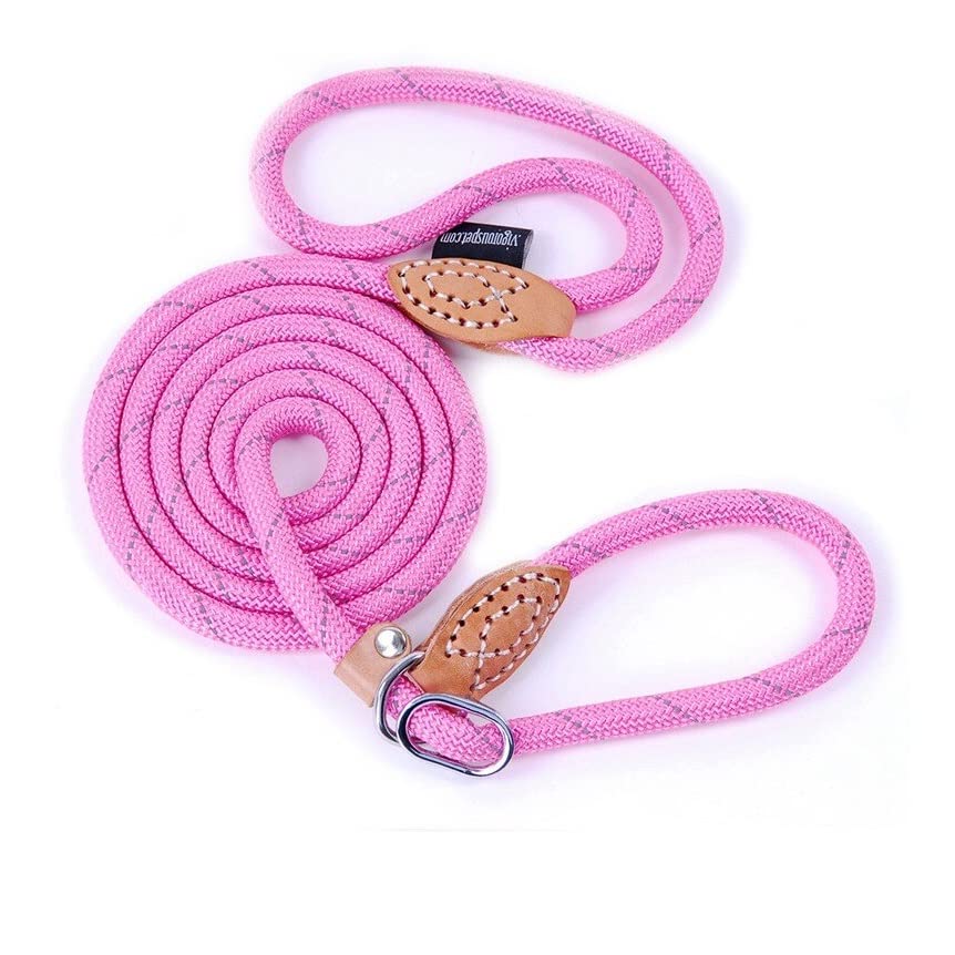 Puppy Pet Cat Dog Leash Collar Basic Accessories Reflective Retractable Dog Rope Pet Traction Belt 5Ft(Medium 0.39In, 24-66Lb, P