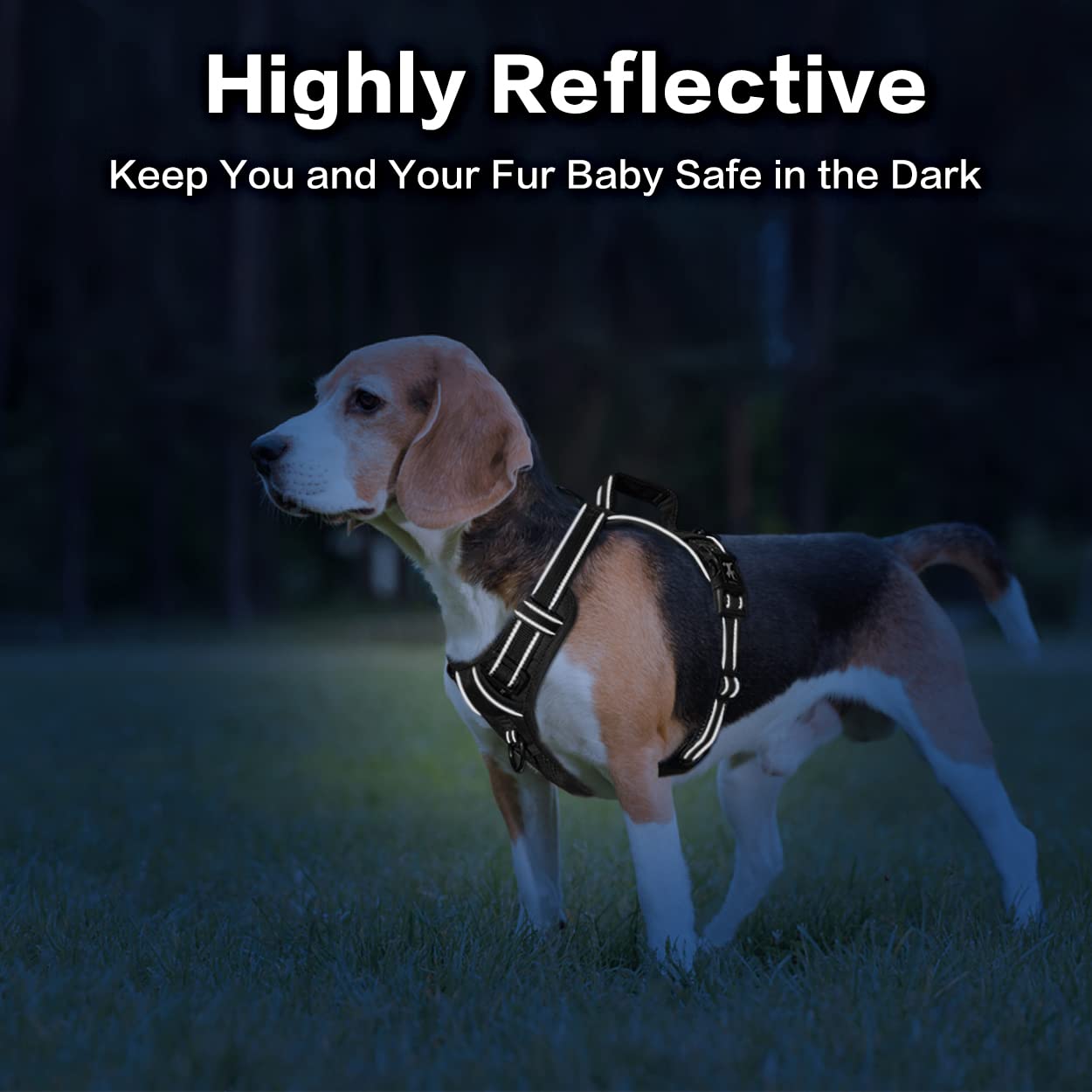 Poypet No Pull Dog Harness, No Choke Front Clip Reflective Dog Vest With Soft Padded Vertical Handle, 3 Leash Attachments For Small Medium Large Dogs (Black,L)