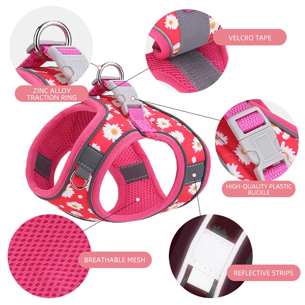 Step in Dog Harness and Leash Set, Flower Adjustable Easy Walk Puppy Harnesses, Soft Mesh Pet Vest Harness Small Size Dog Adjust
