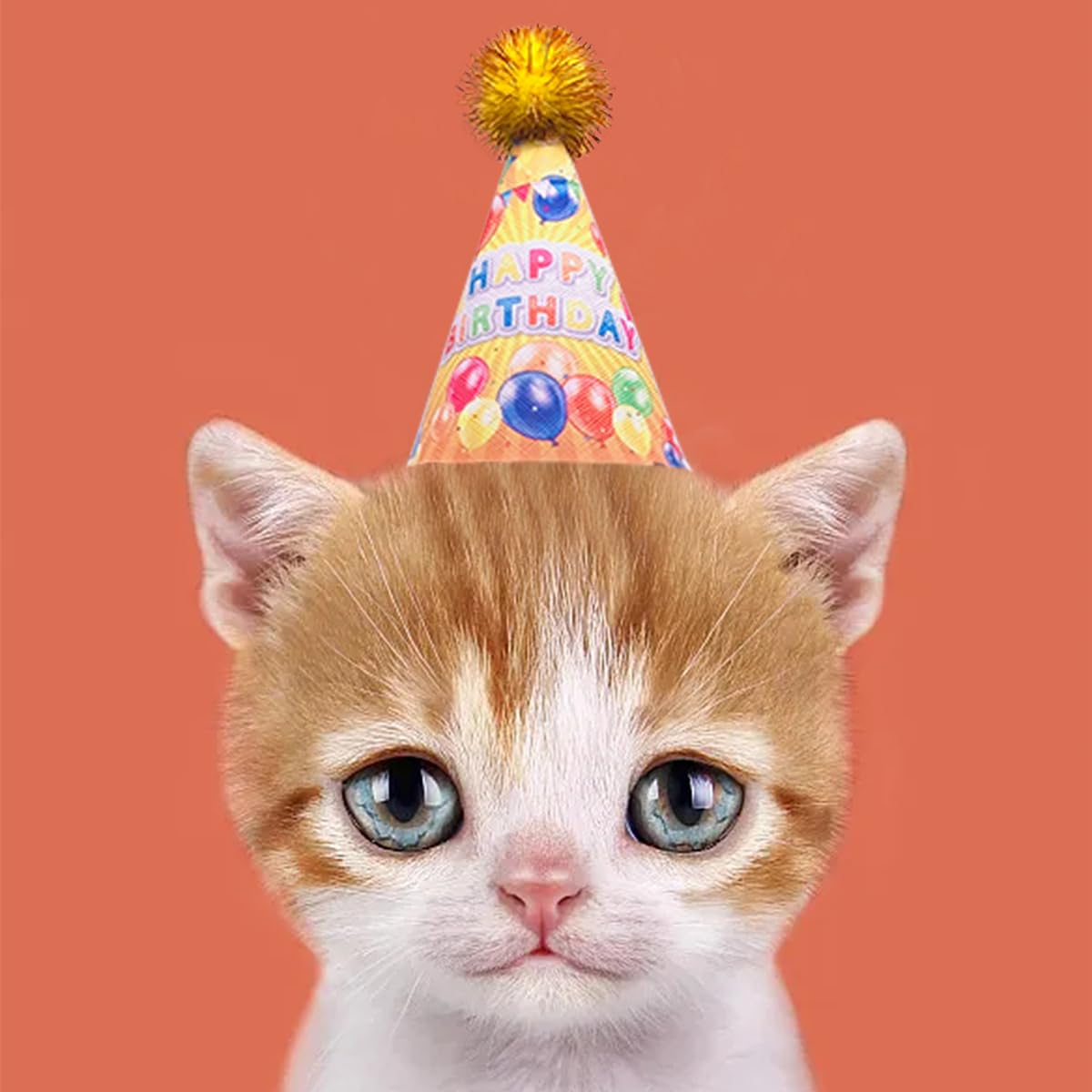 Jpgdn 6Pcs/Pack Dog Birthday Hats Party Hats For Small Mediumpuppies Doggie Cats Boy Girl Birthday Costume Accessories