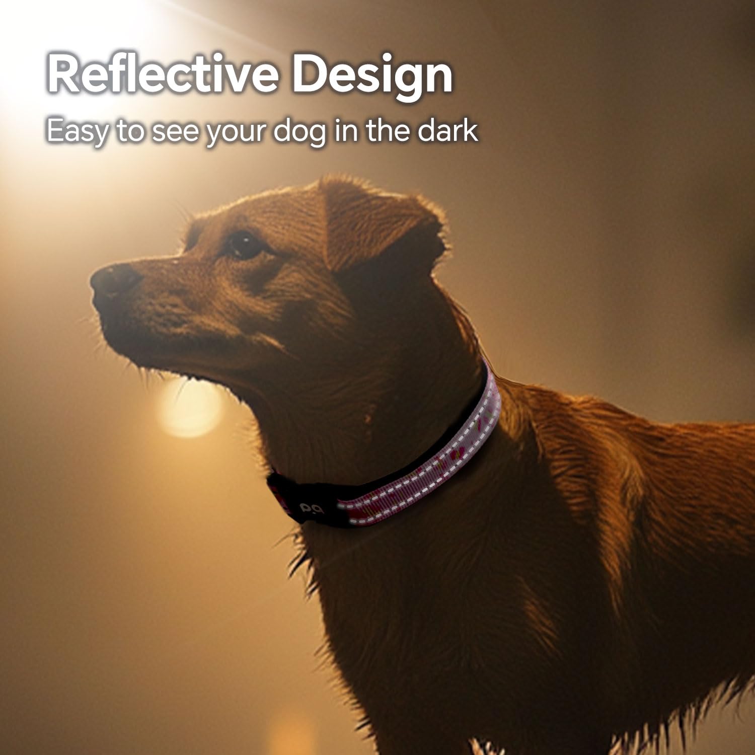 Qqpets Reflective Dog Collar With Soft Neoprene Padded Breathable Nylon Pet Collar Adjustable For Small Medium Large Dogs