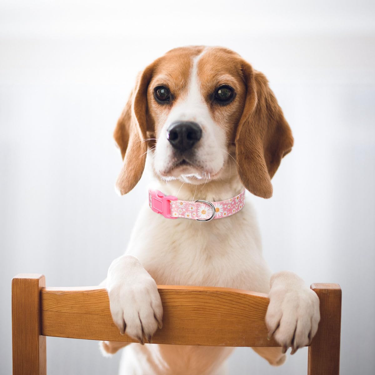 Cute Dog Collars For Female Dogs, Pretty Pink Flower Pattern Design Quick Release Buckle Soft Nylon Puppy Collars Adjustable For