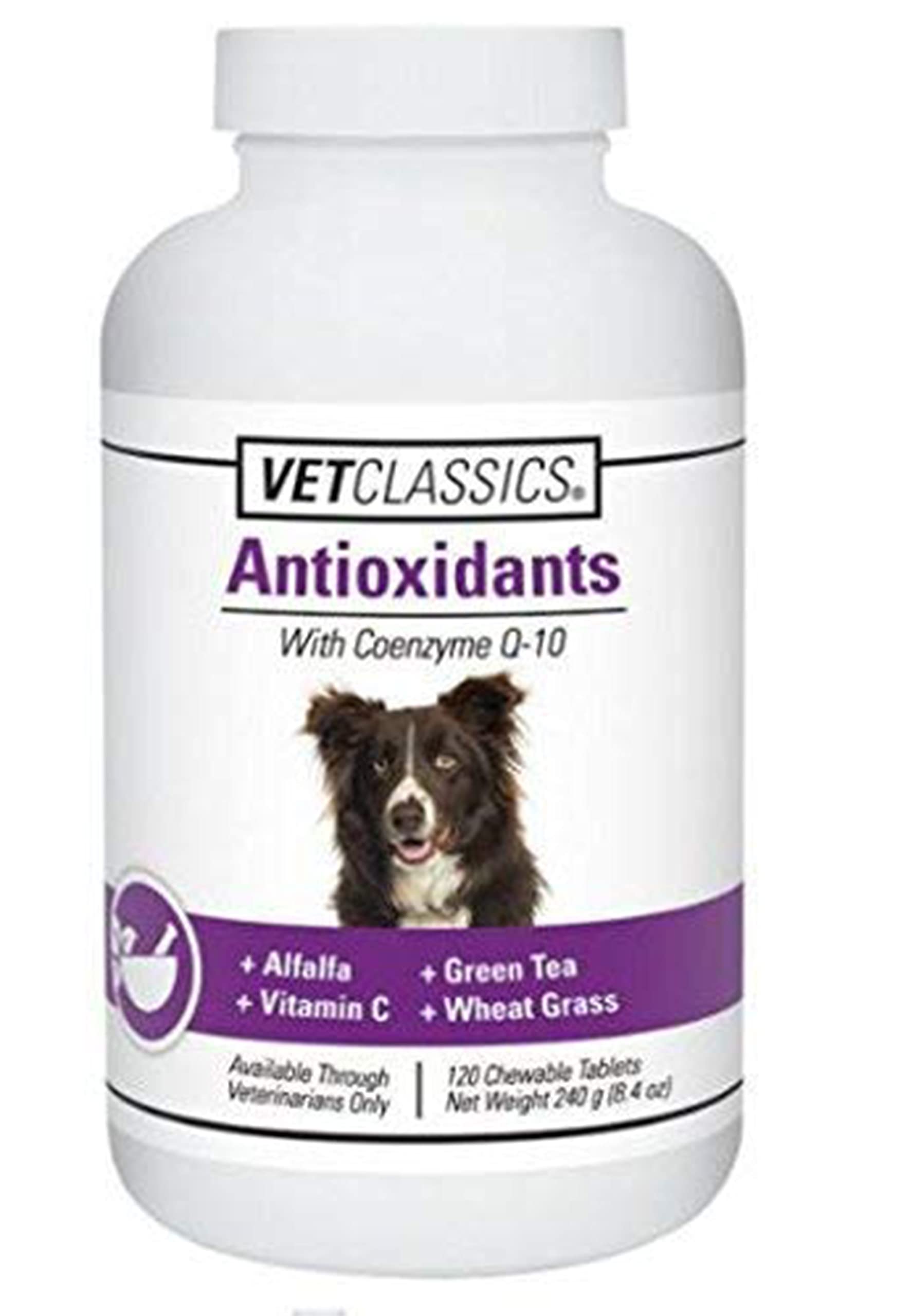 Vet Classics Coenzyme Q-10 Antioxidant Dog Supplement - Pet Health Supplement for Dogs - Supports Overall Dog Wellness, Aging - 
