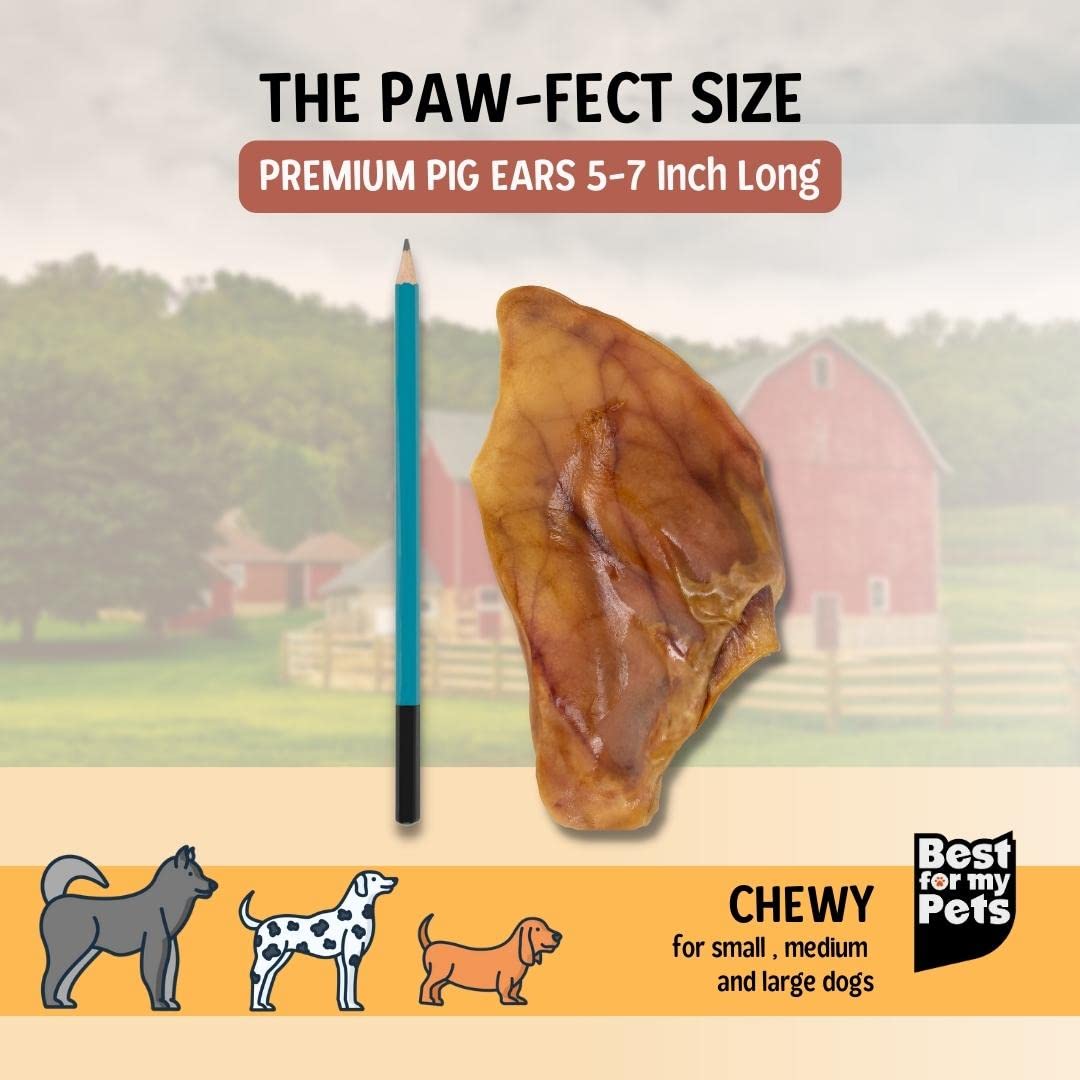 Best For My Pets Pig Ears for Dogs (Whole, 6 Pack), Healthy, Highly Digestible All Natural Pigs Ears Long-Lasting Dog Chews, Por