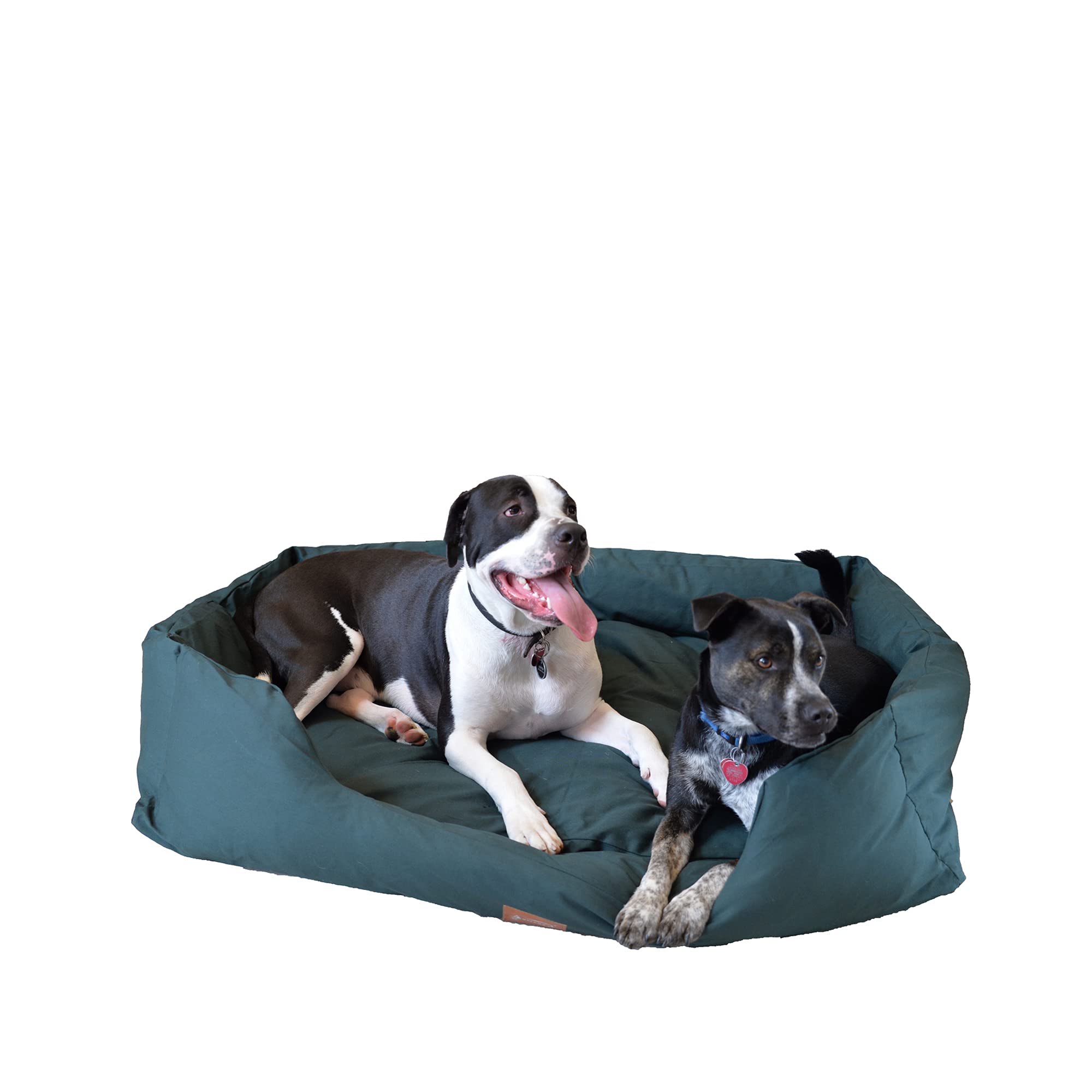 Armarkat Pet Bed 50-Inch By 37-Inch D01Fml-Xtra Large, Laurel Green
