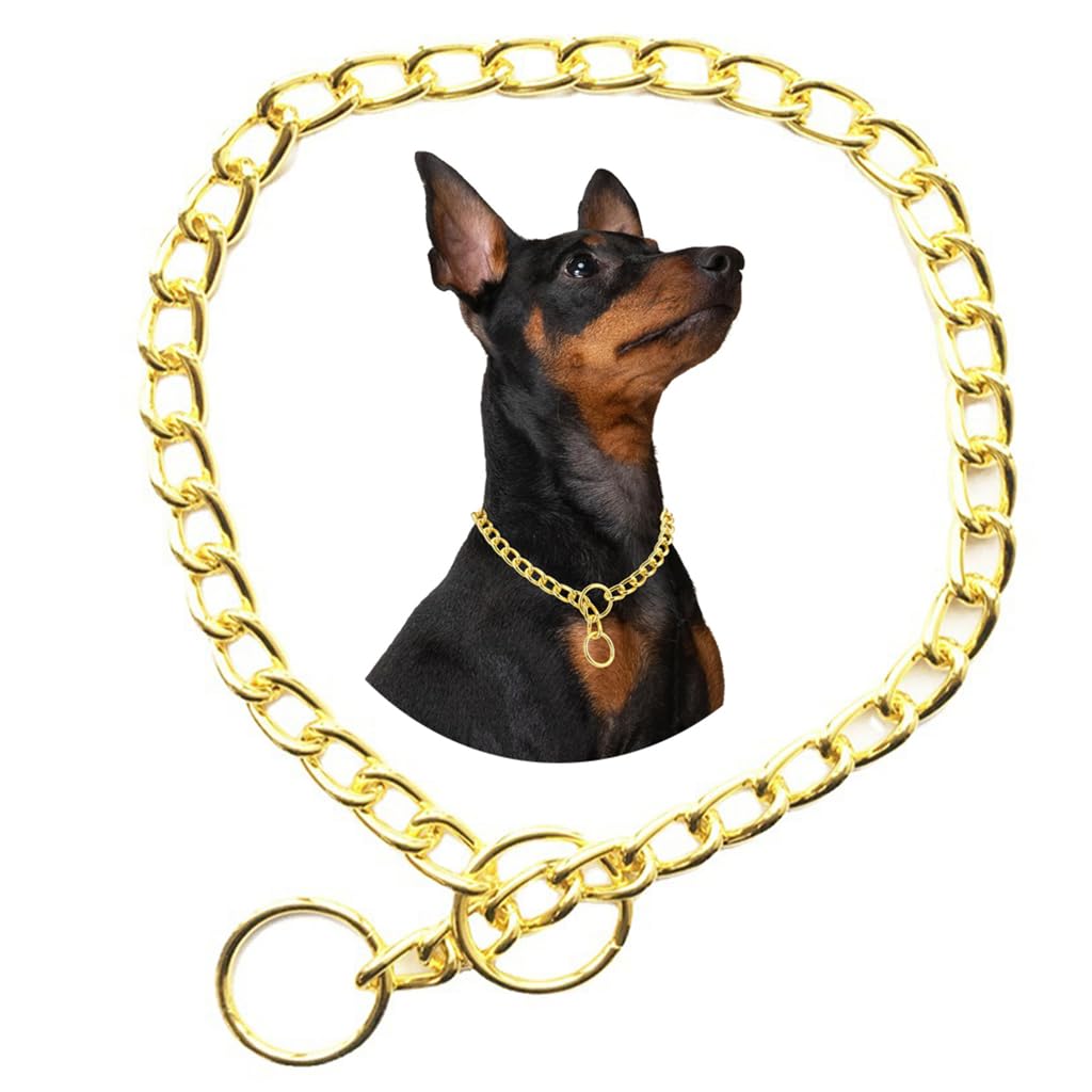 Chain Collar For Dogs, Golden Xs Metal Slip Link Training Heavy Duty Dog Collar Martingale Puppy Collars For Xxs Xs Small Medium