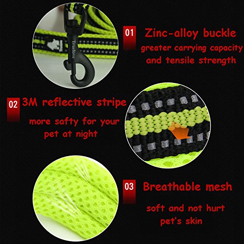 Creation Core Reflective Dog Leash Durable Padded Pet Leash Strap For Puppy Pet Leash Rope, Black 3.6Ft Long 0.8' Wide