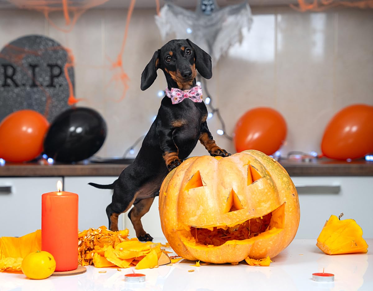 Dogwong Fall Dog Collar With Bowtie - Pink Fall Dog Collar Soft Cotton Autumn Dogs Necklace - Halloween Puppy Necklace For Small