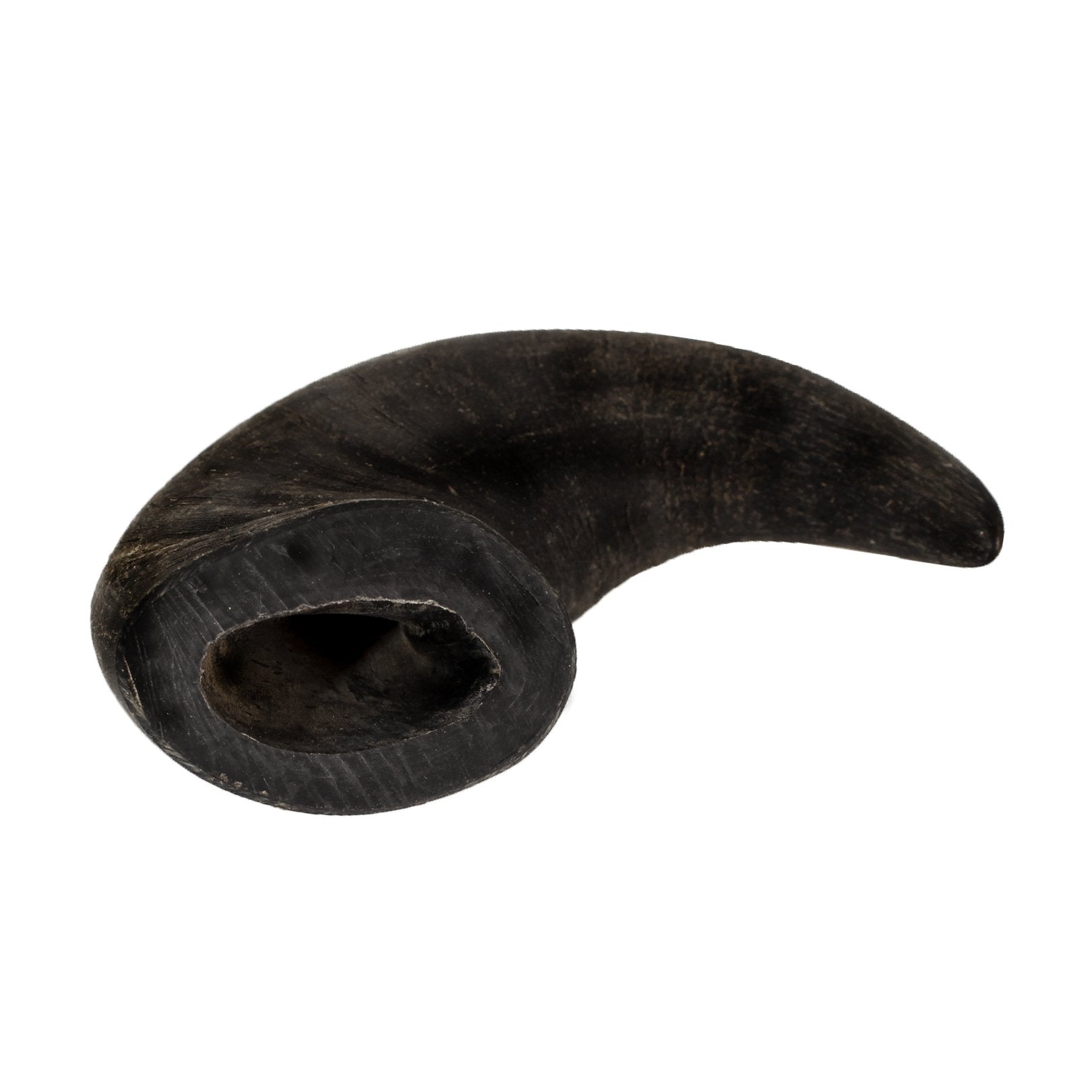 Outback Jack Water Buffalo Bully Horns 100% Natural Dog Treats, Medium