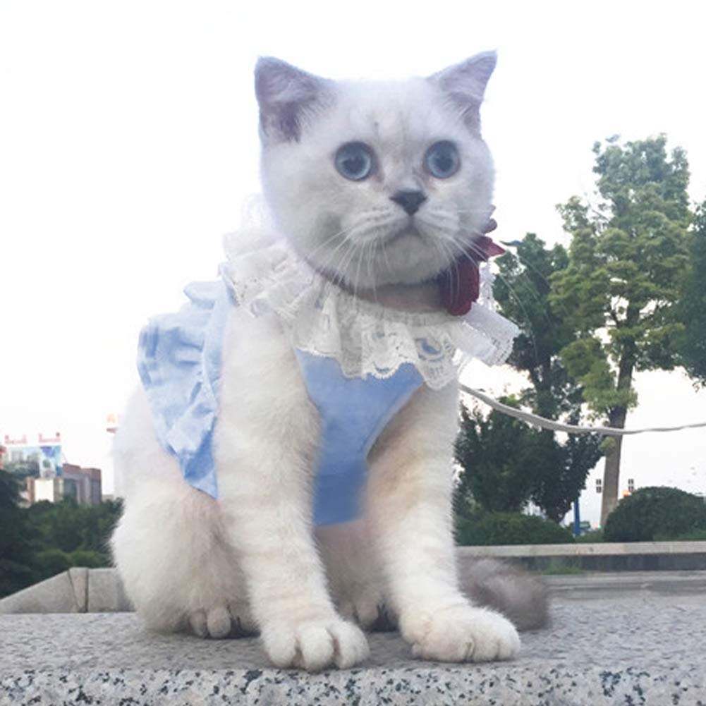 Creation Core Breathable Cat Lace Dress Harness With Matching Lead Leash Set(Blue,Xl)