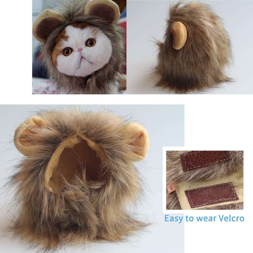 SNIK-S Cat Wigs Lion Mane Wig with Ears- Fancy Costume Hair Lion Hat for Halloween and Cosplay Party (S)