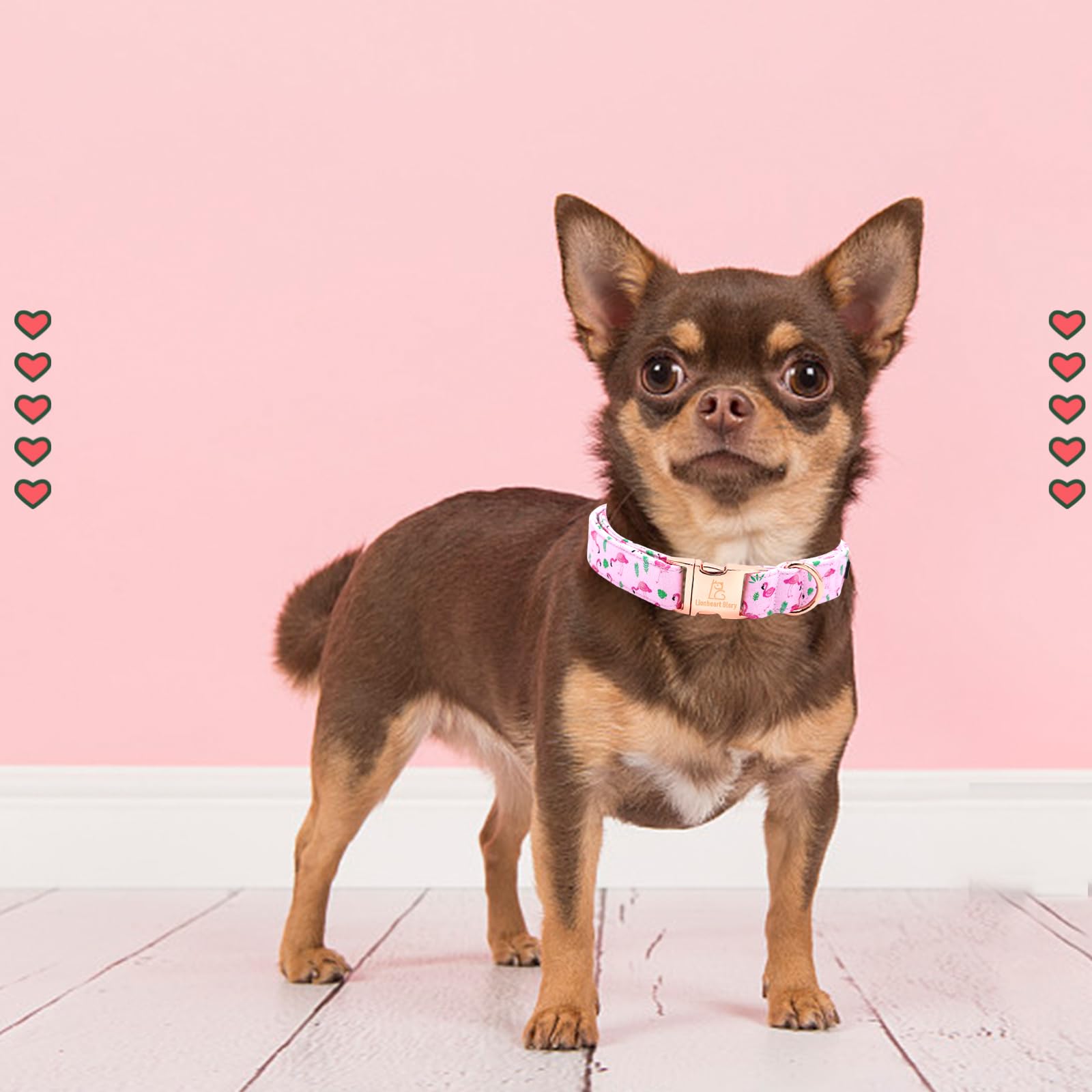 Lionheart Glory Valentine'S Day Collar, Flamingos Print Dog Collar For Medium Pink Dog Collars Spring Female Pet Gift Adjustable