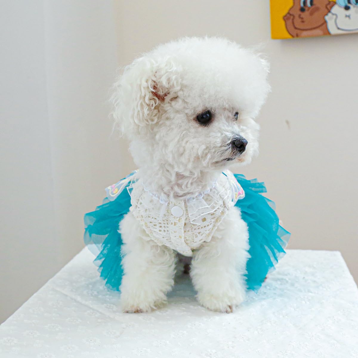 Marupet Fashion Sweet Puppy Dog Blingbling Princess Skirt Pet Dog Lace Cake Camisole Tutu Dress B-Blue Xs