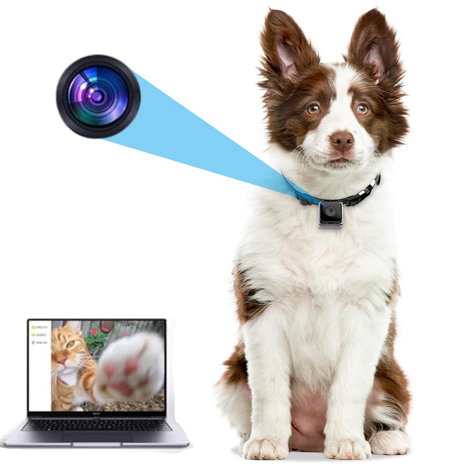 Kinetcam Cat Camera Collar,No App No Wifi Needed Cordless Cat Collar Camera With Video Record, M-Size Collar For Dogs/Big Cats,P