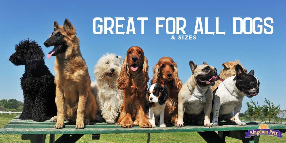 Kingdom Pets Filler Free Chicken Jerky & Rawhide Wraps, Premium Treats for Dogs (16 oz.)