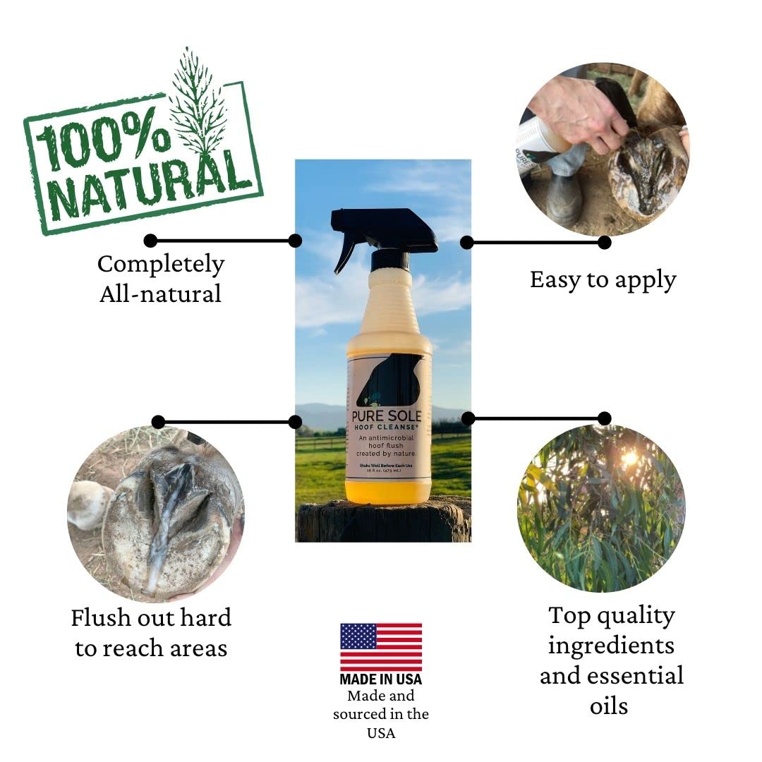 Pure Sole Thrush Treatment for Horses Hoof Spray Hoof Cleanse | All Natural Spray for A Healthy Horse Hoof, Use for White Line,