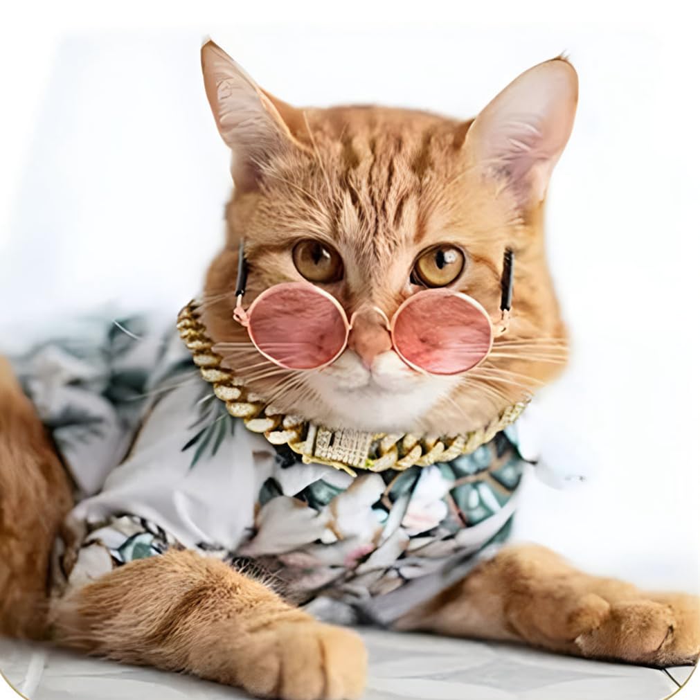 Gold Dog Chain, Cuban Link Chain For Small Dogs,Jewelry Diamond Necklace Metal Bling Choke Collar 13Mm Wide Pet For Puppy Small