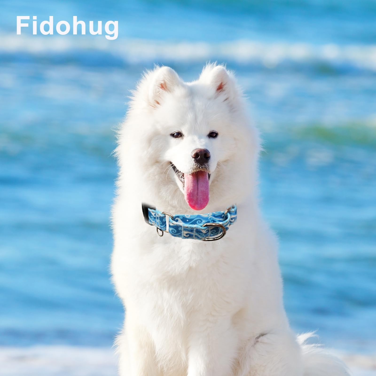 Fidohug Reflective Martingale Collar With Quick Release Buckle Anti Pulling Boy Male Adjustable Dog Collars (Blue Waves, Small)