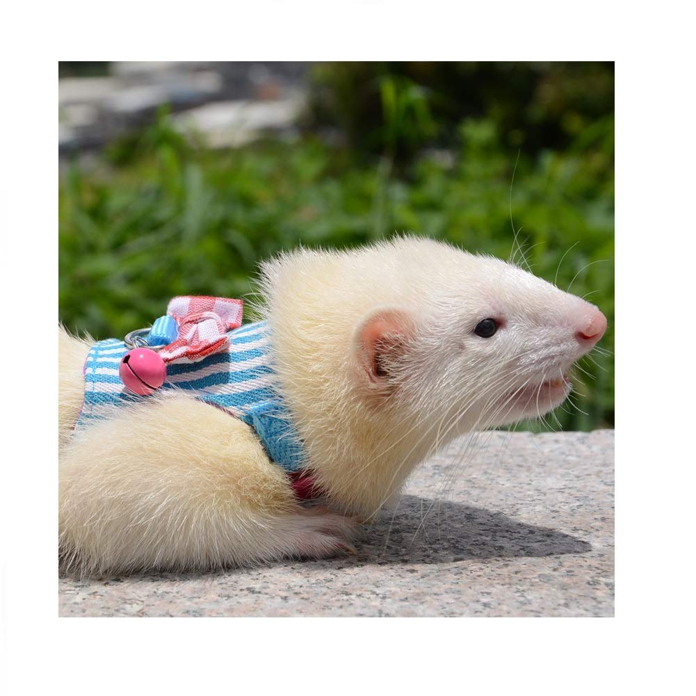 Wontee Small Pet Harness Vest And Leash Set With Bowknot And Bell Decor For Gerbil Guinea Pig Squirrel Kitten Outdoor Walking (M, Blue Stripe)