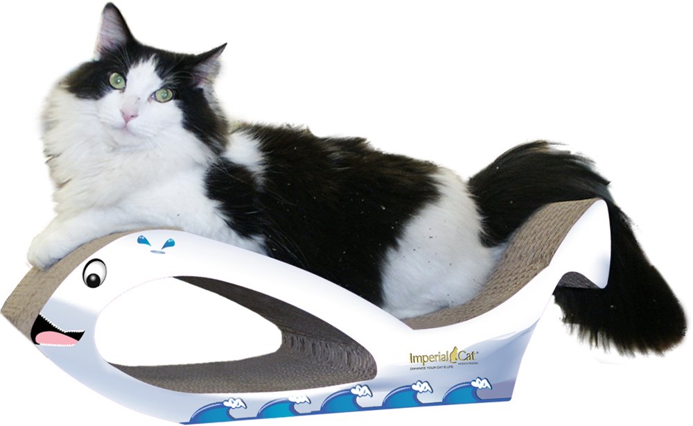 Imperial Cat Whale Scratch 'N Shape, Beluga, Large