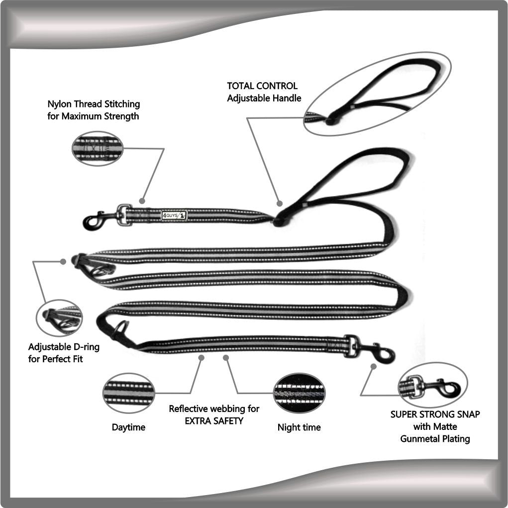 4Guys Total Control, Multi-Function, Hands-Free Dog Leash, Easy Control For Large And Medium Dogs, No Pull Harness Hiking Walkin