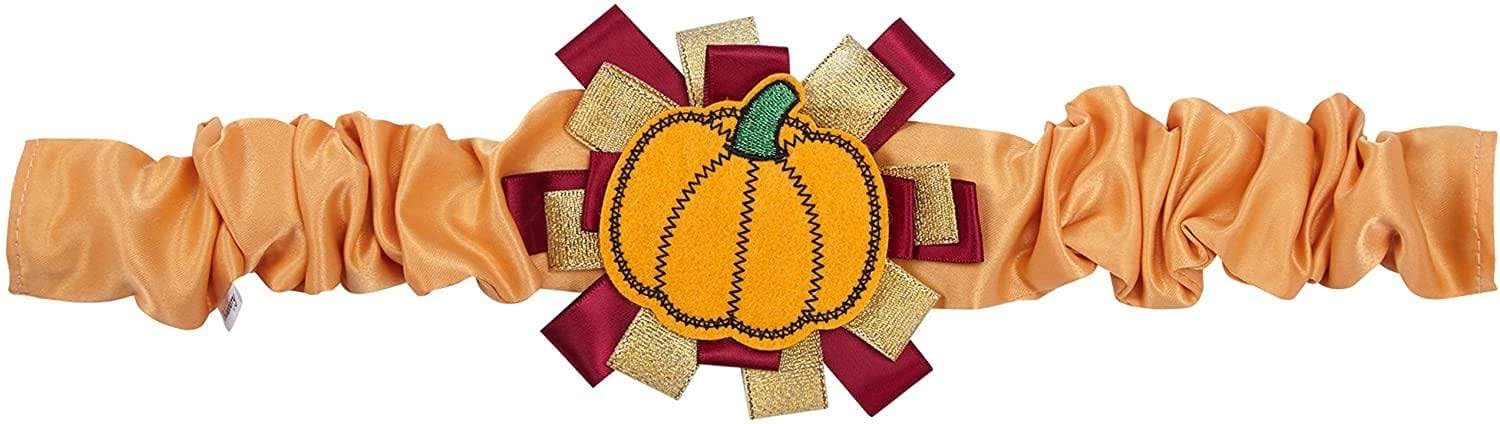 Blueberry Pet Thanksgiving Fall Charm Pumpkin Dog Collar Cover, Festive Accessory for Small to Large Dog Collars, Perfect for Do
