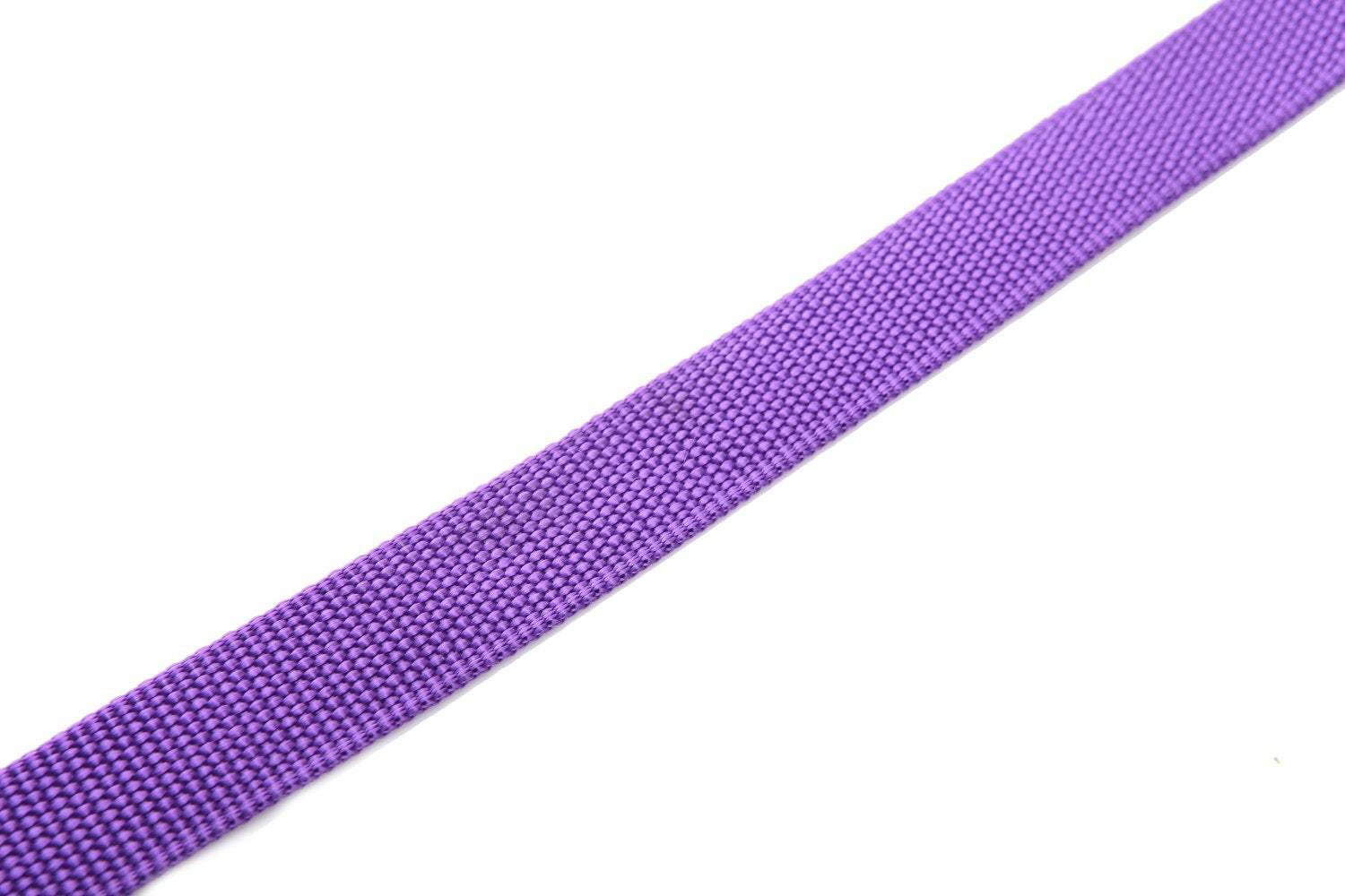 Nylon Dog Leash 4 Ft 5 Feet 6 Foot Long, Walking Training Dog Leashes For Medium Large Dogs, 1 Inch Wide(4Ft, Purple)