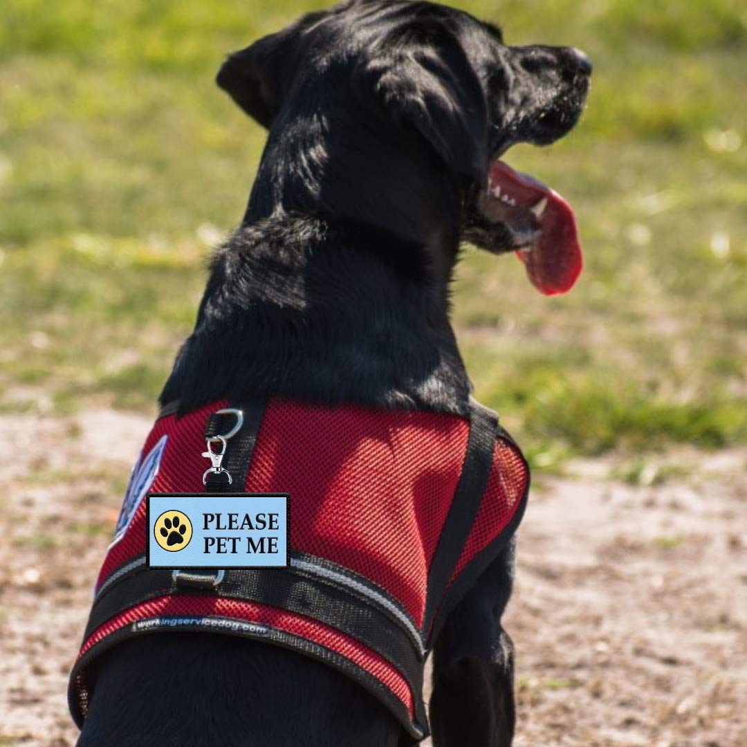 Please Pet Me Id Patch Tag - Clips To Service Dog Vest, Therapy Dog Vest, Harness, Collar, Leash, Or Carrier